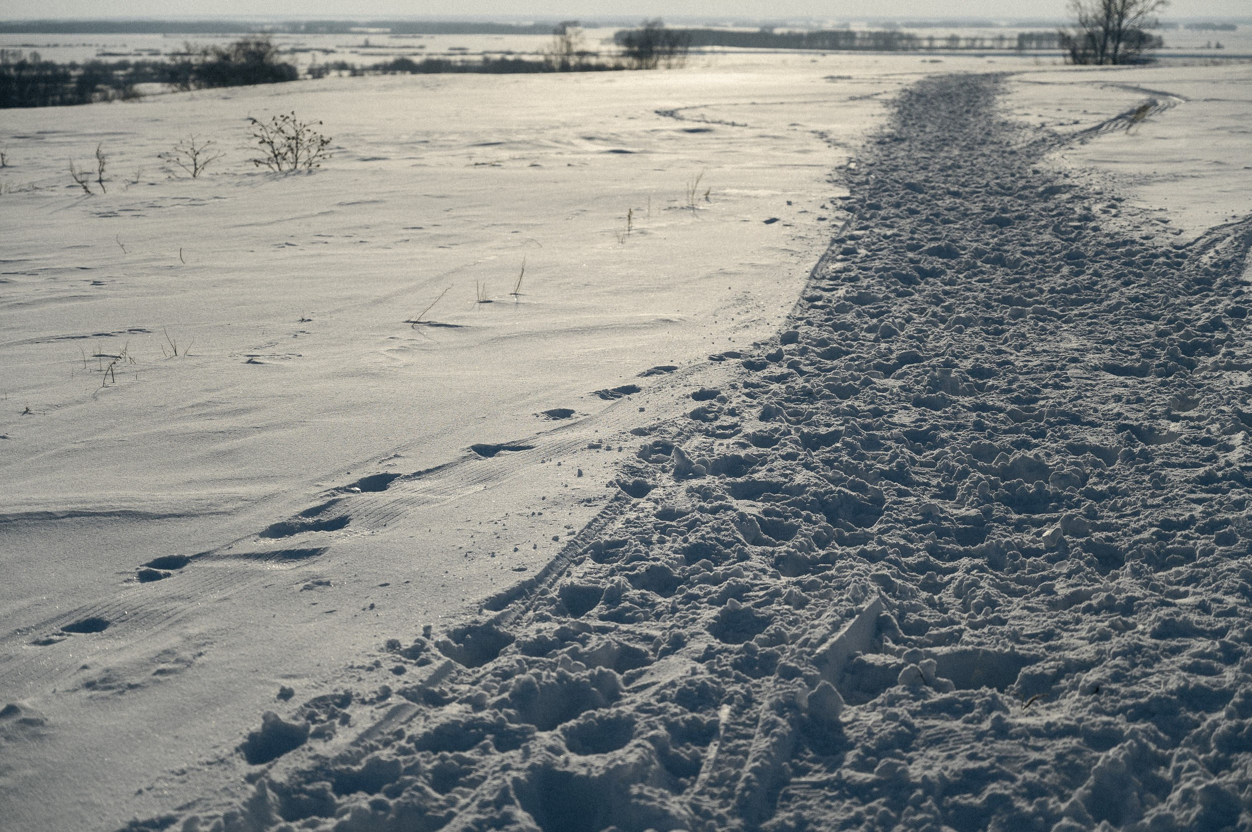 Зимний поход. Евгений Нисковских — свадебный и репортажный фотограф в Тюмени