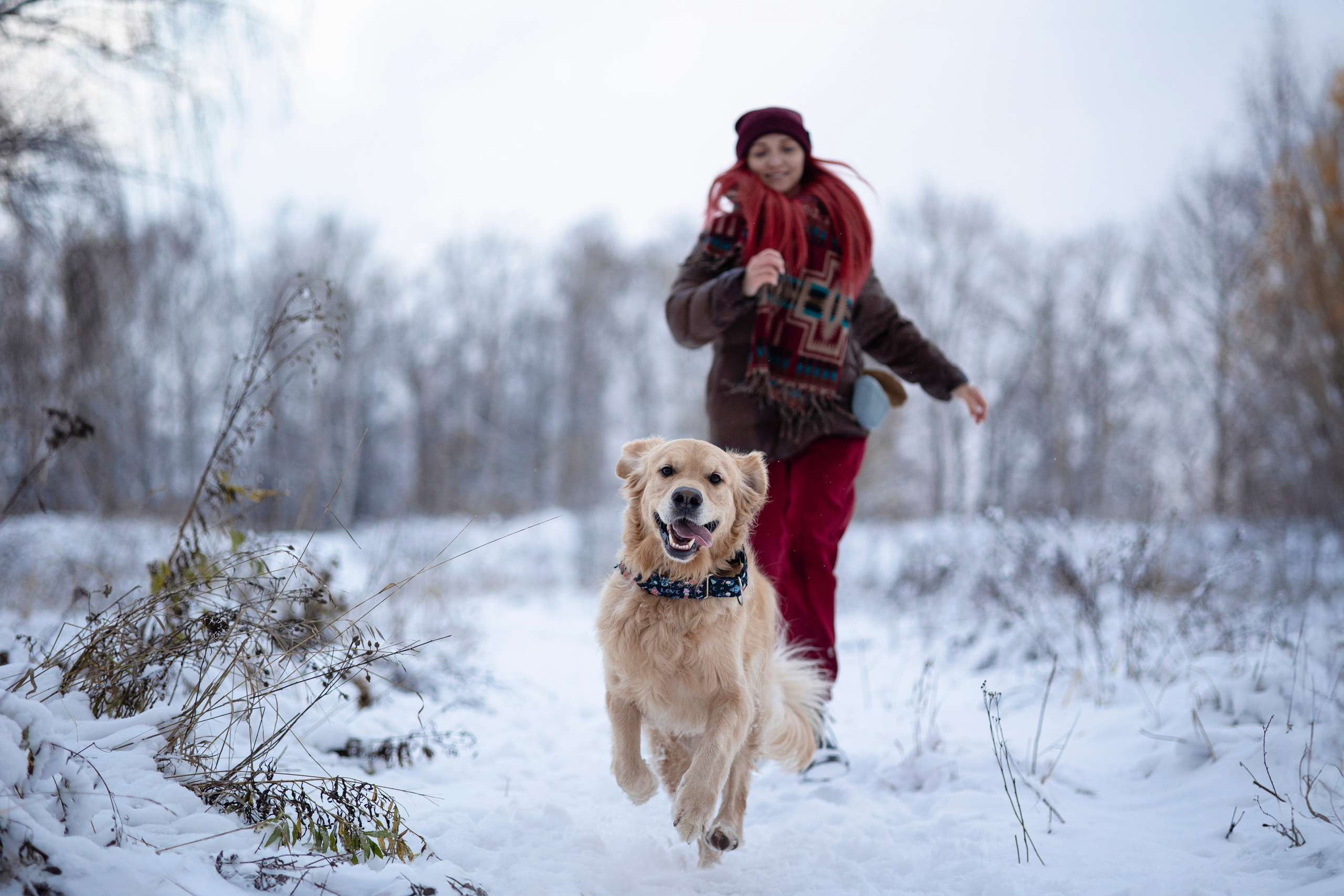 Съемка с собакой. Анастасия Белаш