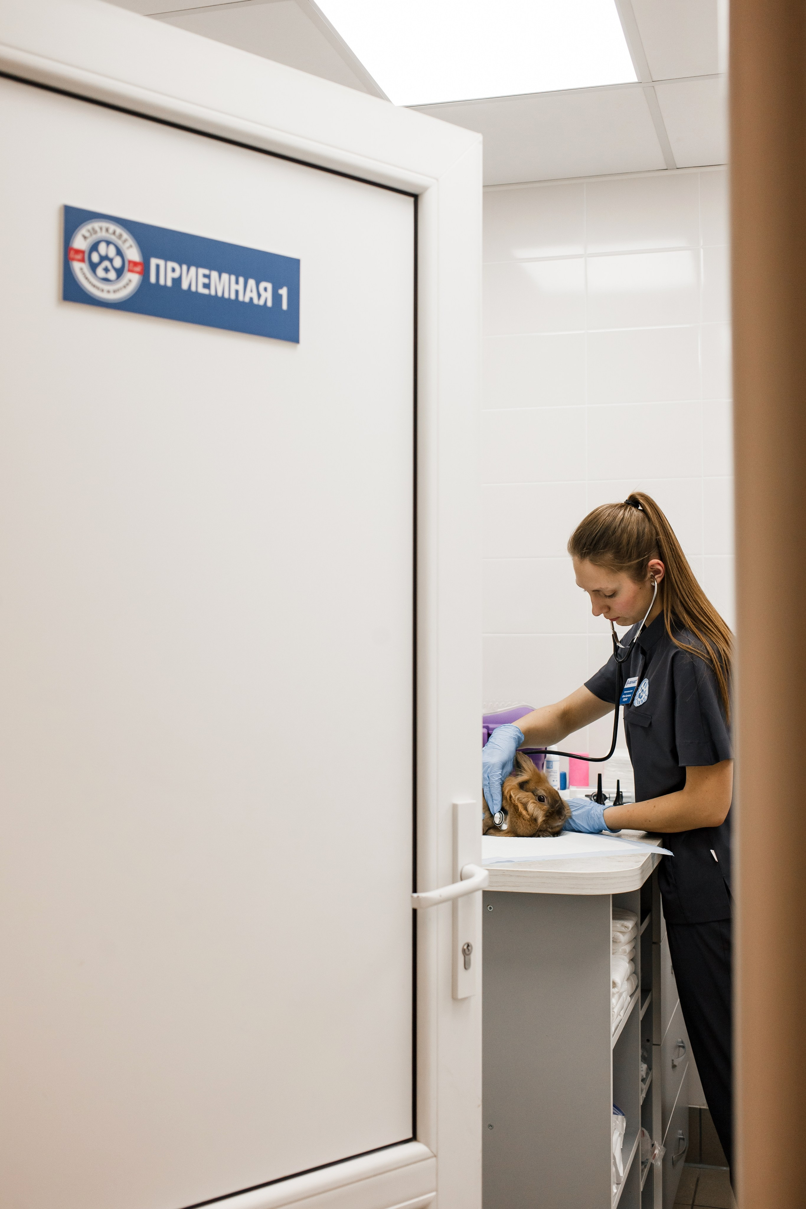 Контентная съемка для ветеринаркой клиники. КОНТЕНТ ФОТОГРАФ