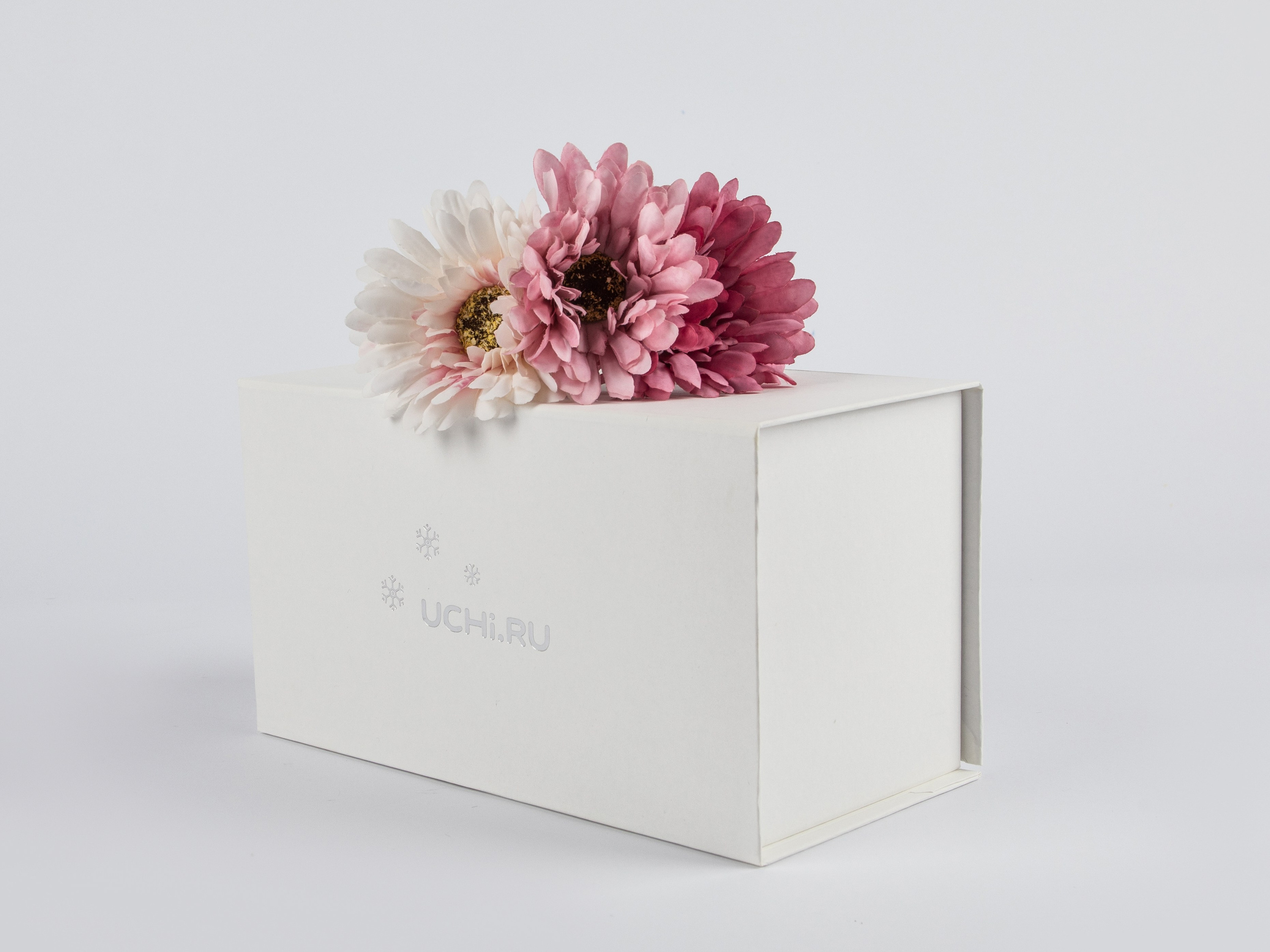 Типография Алес. Предметный и семейный фотограф в Санкт-Петербурге Катерина Стеклова