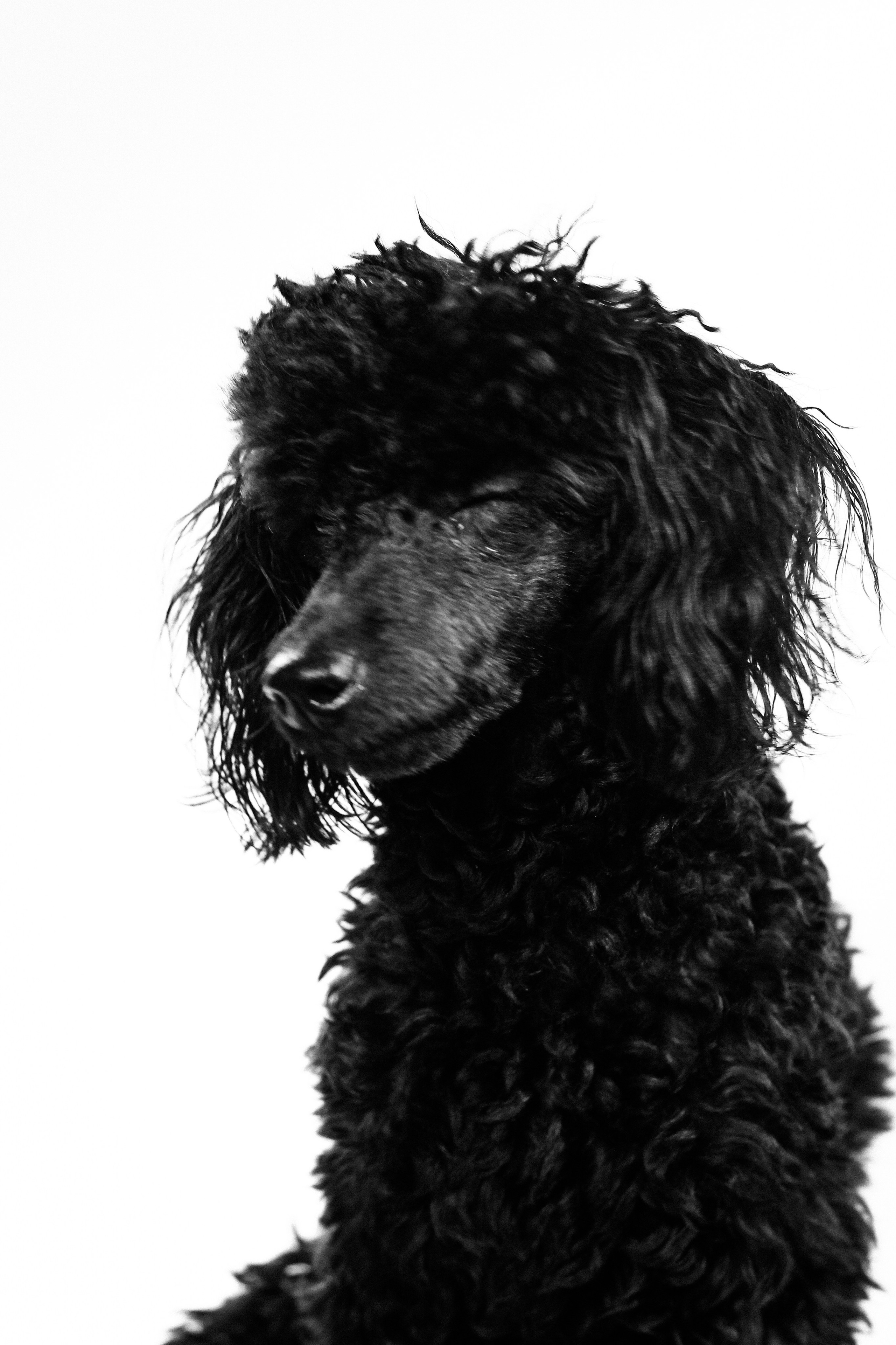 HOPI. Портретный фотограф DanilNabody