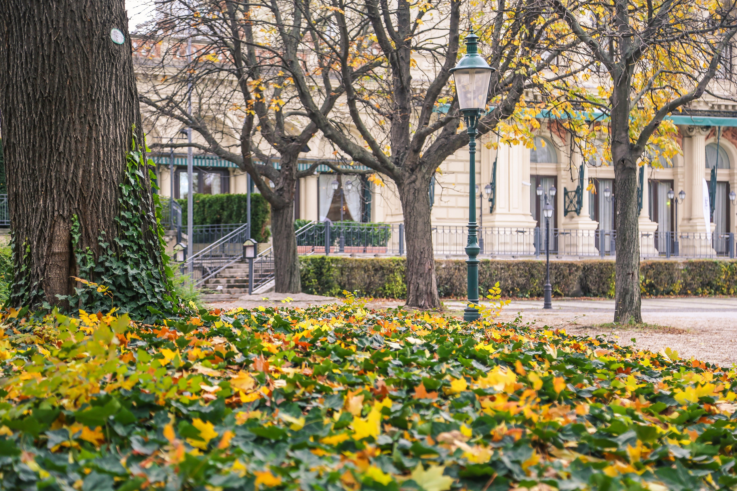 Австрия: Вена — Святой Стефан, Штадтпарк, Бельведер. Дарья Письменюк / Darya Leitstern — фотограф, музыкант, журналист, путешественник