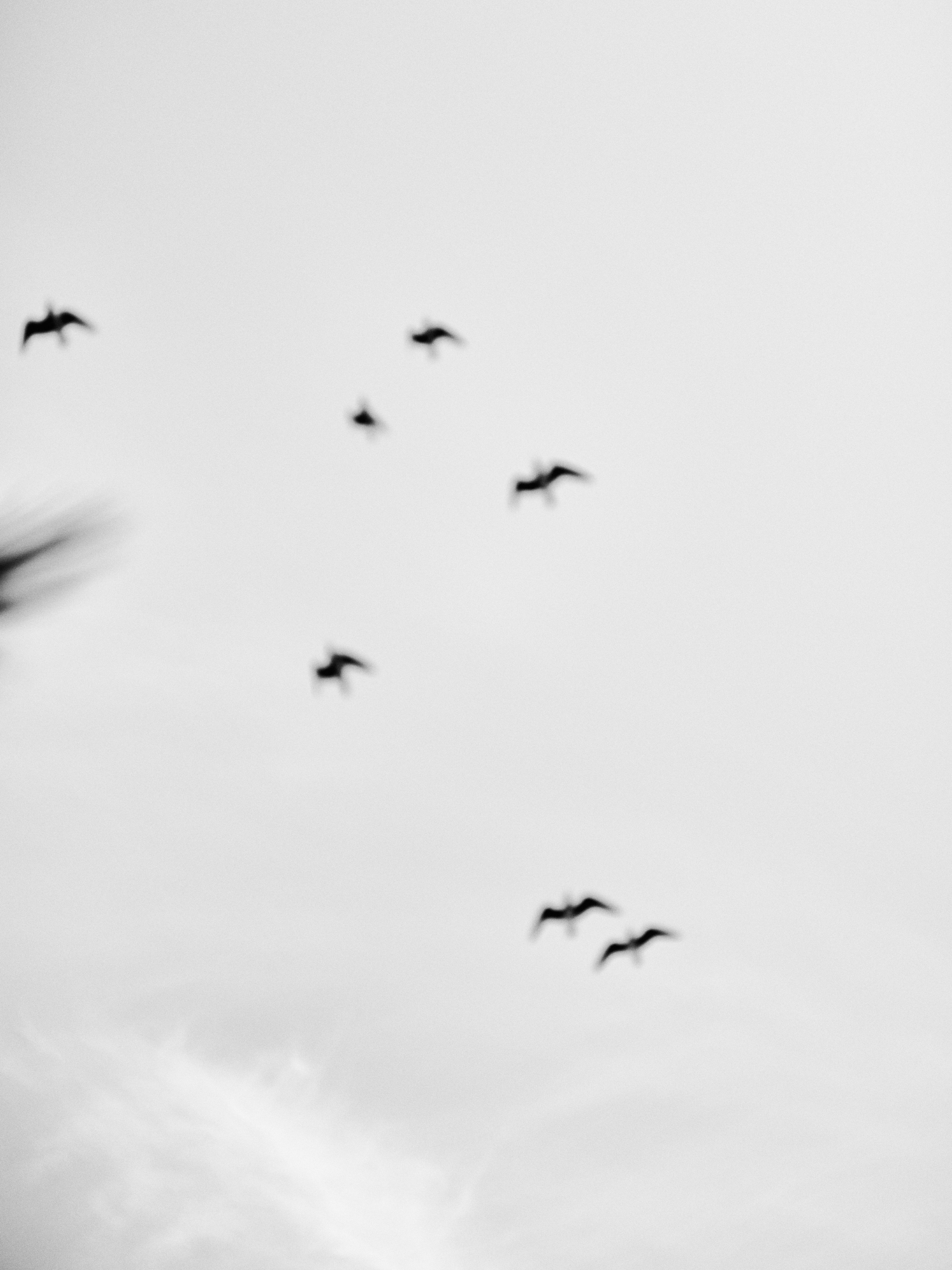 B&W. Jorgis — фотограф в Хургаде / обучение фотографии