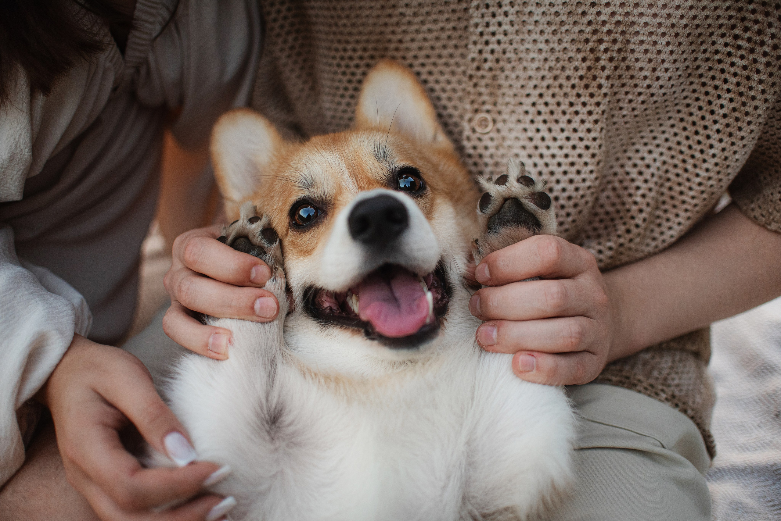 Саша, Оксана и Барни — 25.08.2024. Фотограф — Анималист | Анна Абрамова