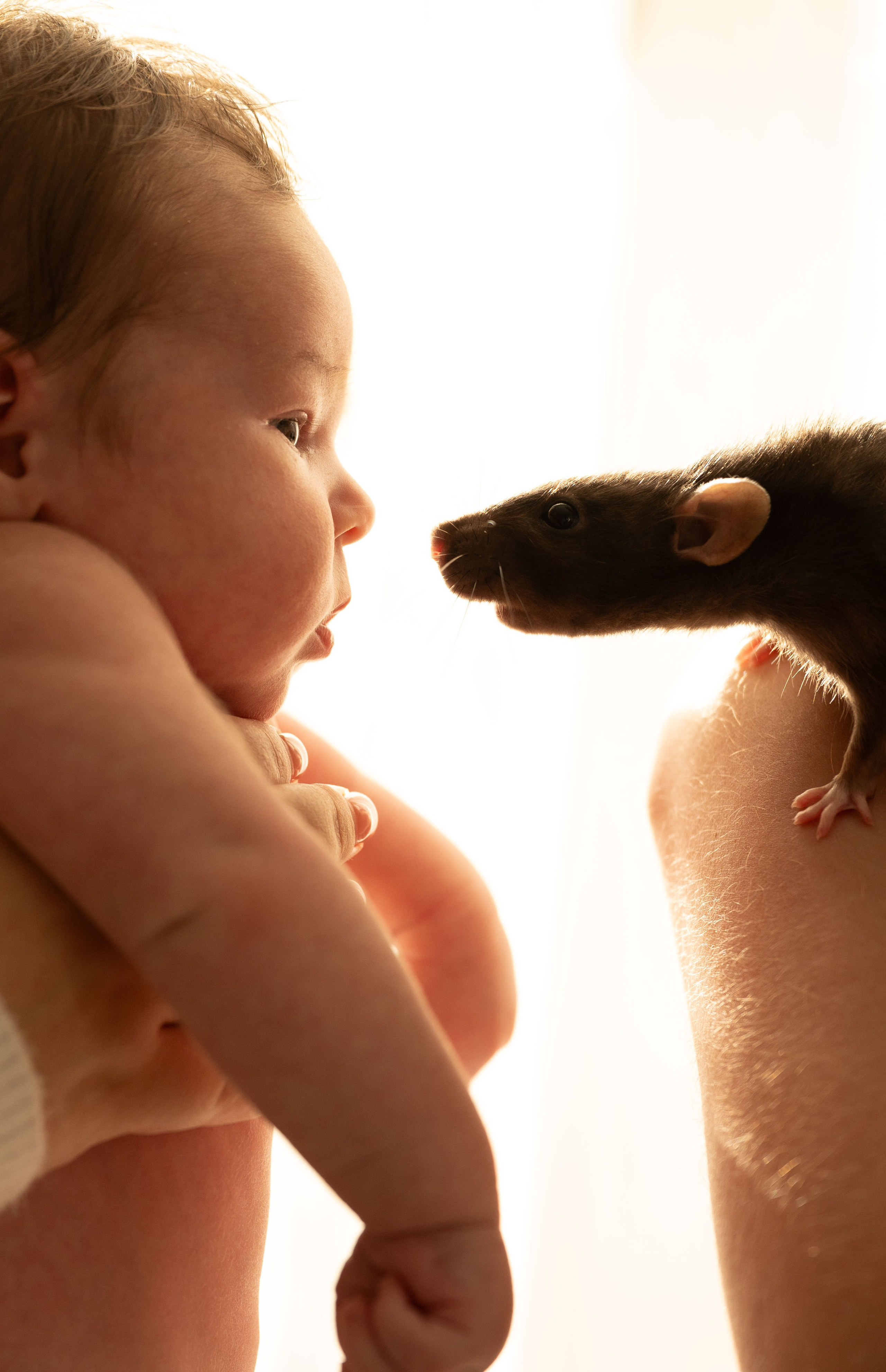 Анна, Вячеслав и Евгений. Фотограф беременности и семьи, домашние съемки, Ньюборн