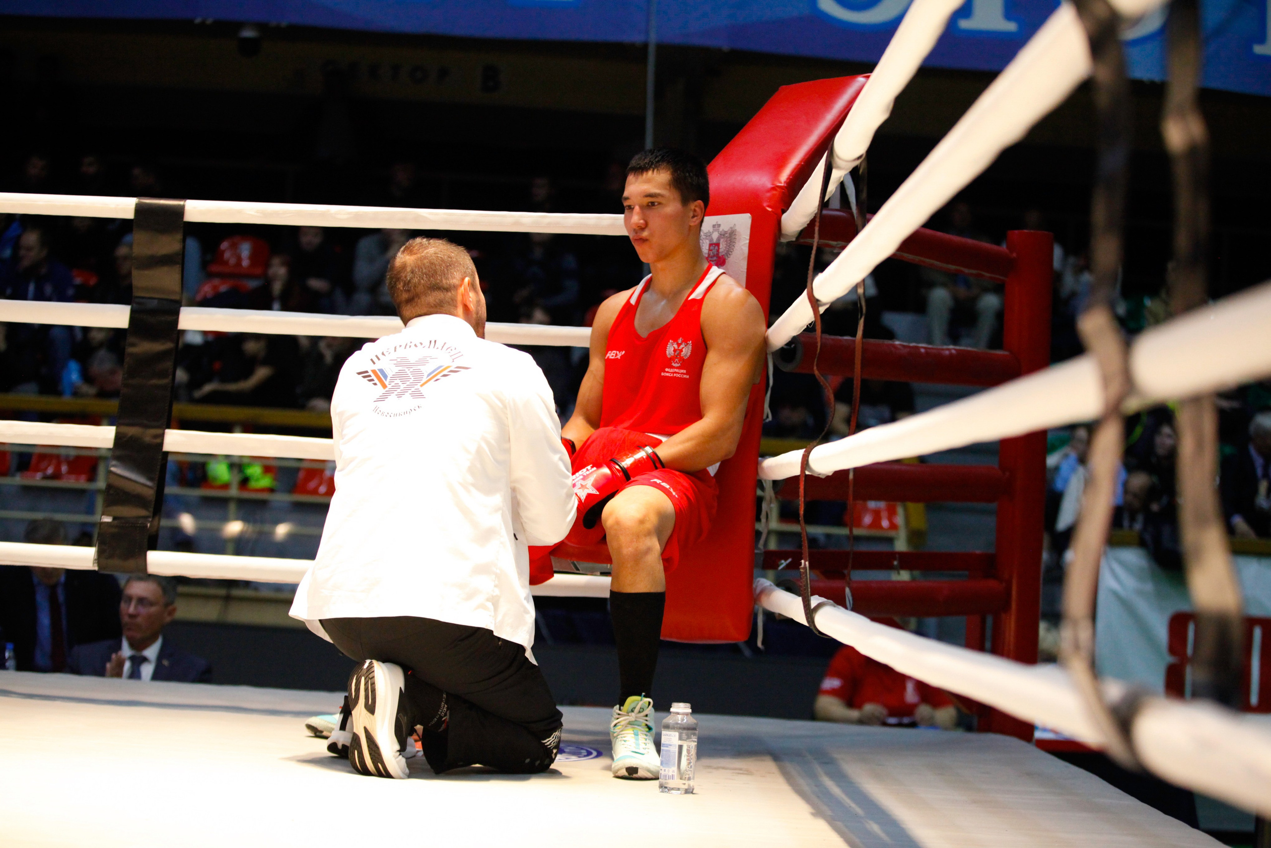 БОКС. Фото. Спортивный фотограф, трансляция, звук и свет в Новосибирске