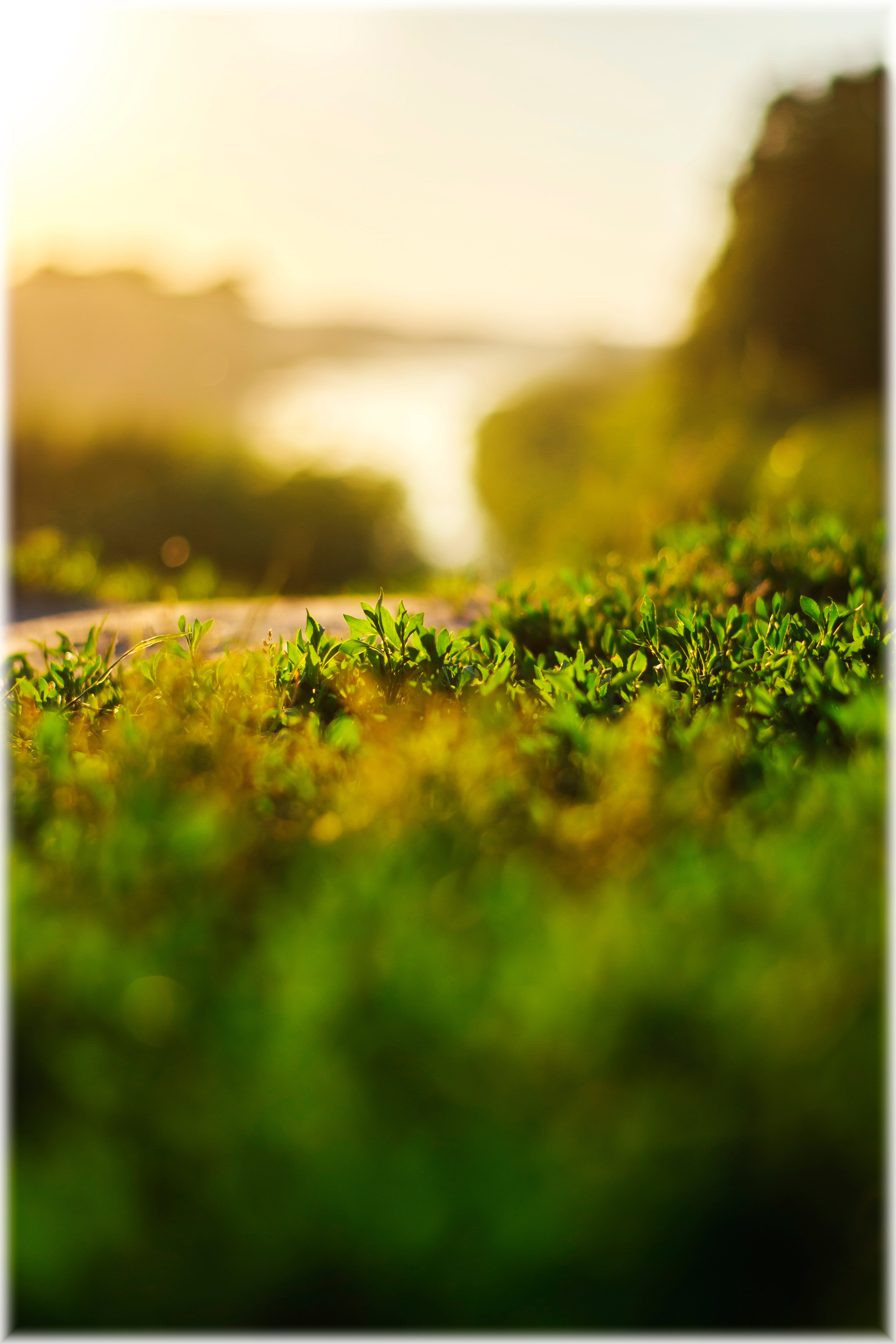 Природа. Александр Снапков | SnappPhoto | Буй