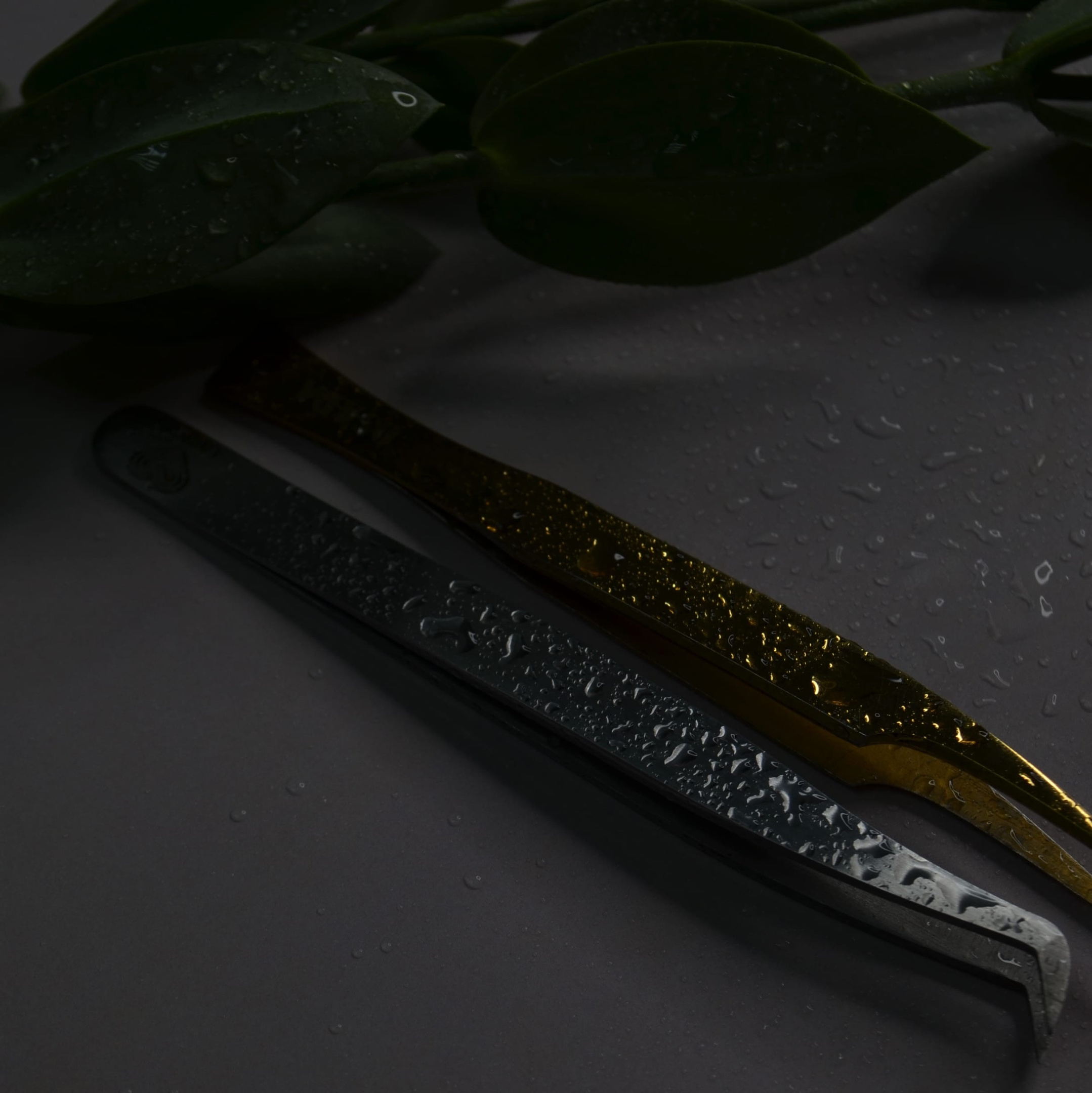 Контент для бизнеса • Крым и Севастополь. Предзапись на ИНТЕНСИВ ПО SMM-МАРКЕТИНГУ С ПРАКТИКОЙ | Lady Agent