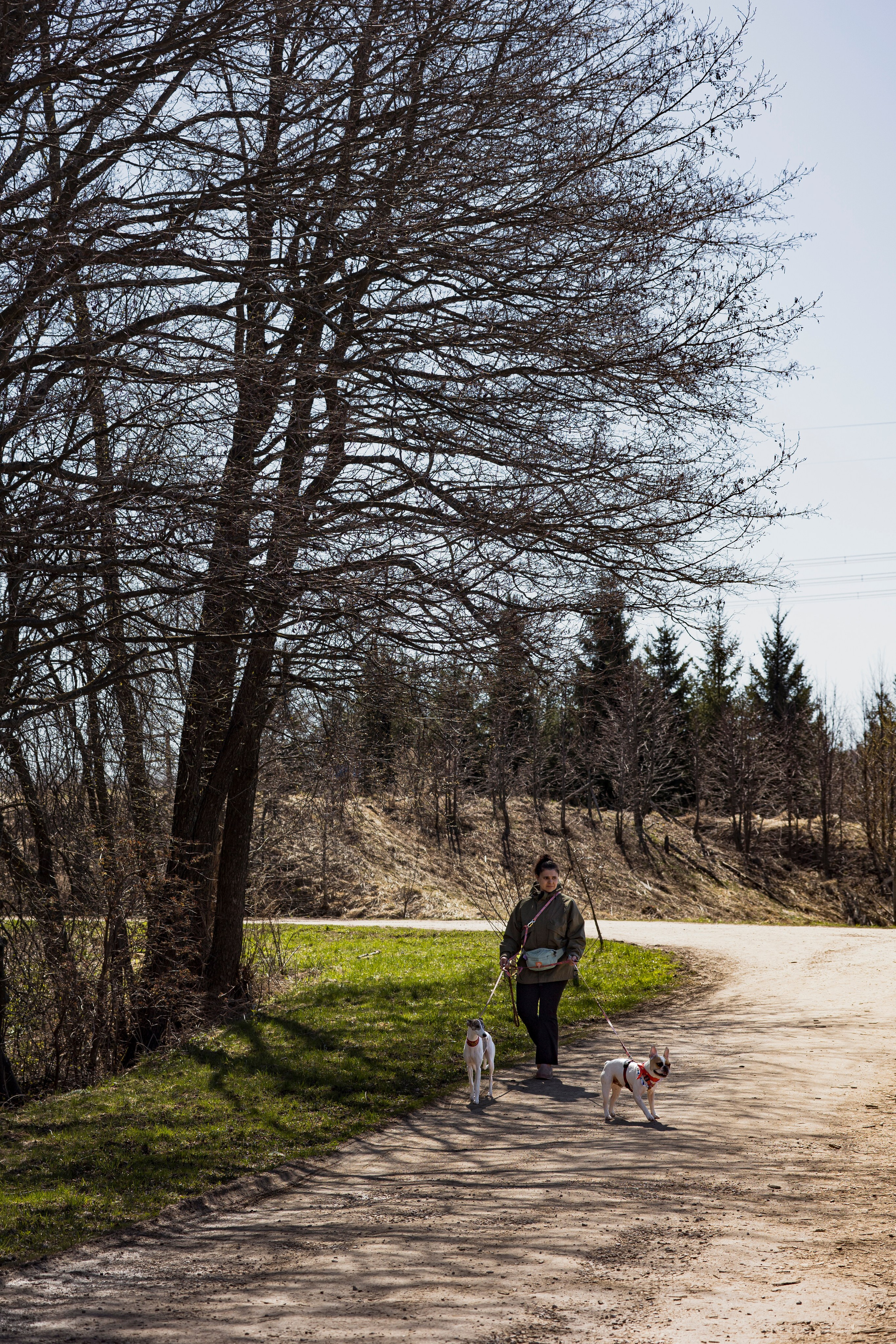 Смена в «DogCamp». Анастасия Белаш