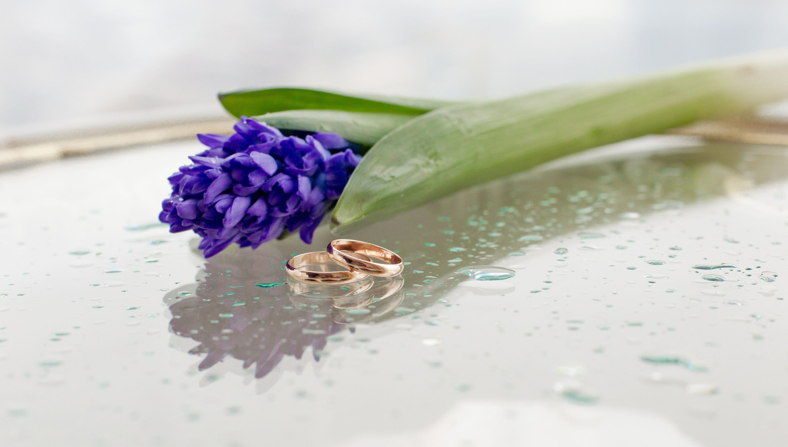 Свадьбы. Фотограф Алексей Архангельский