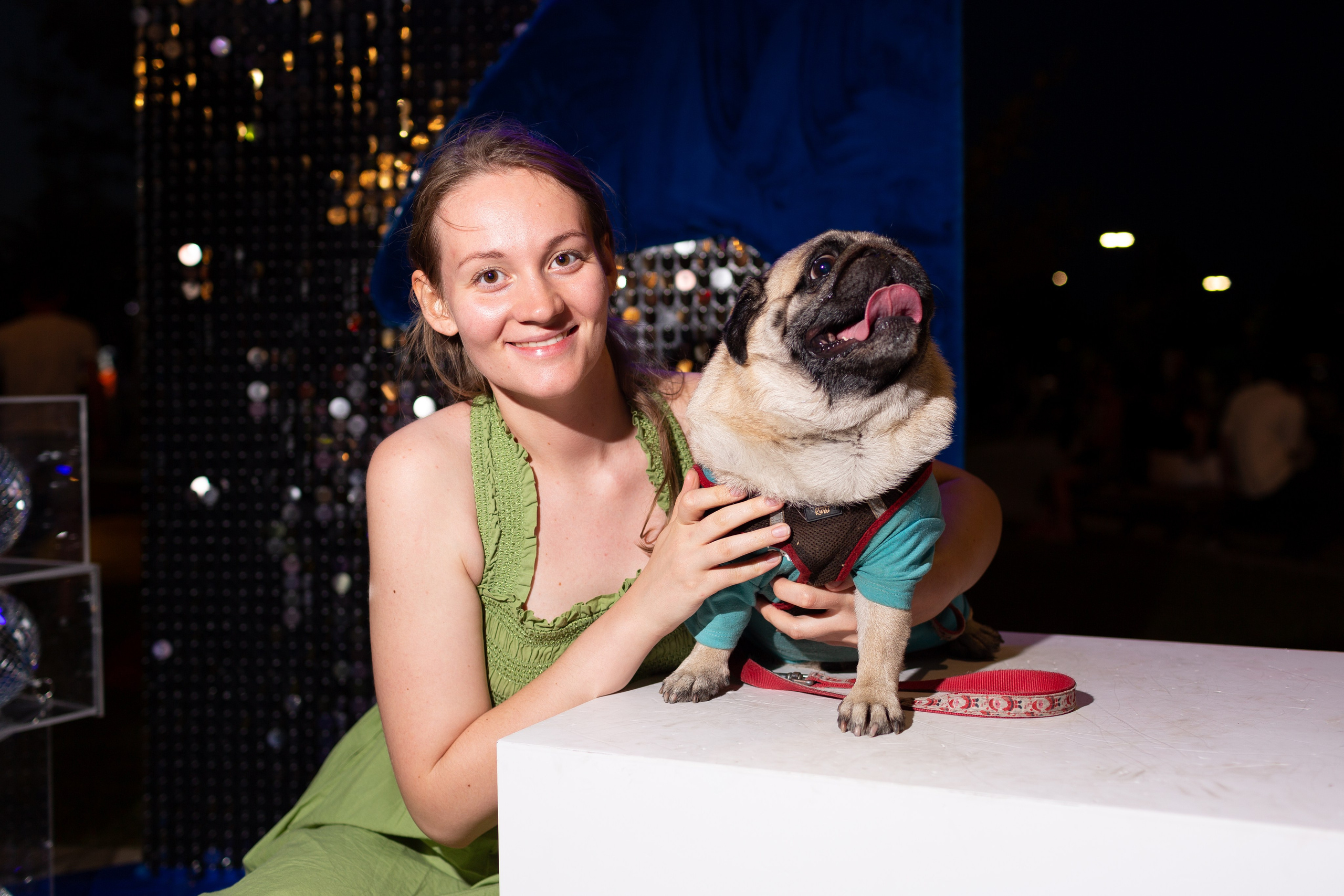 Dog Fest 2024. Главная