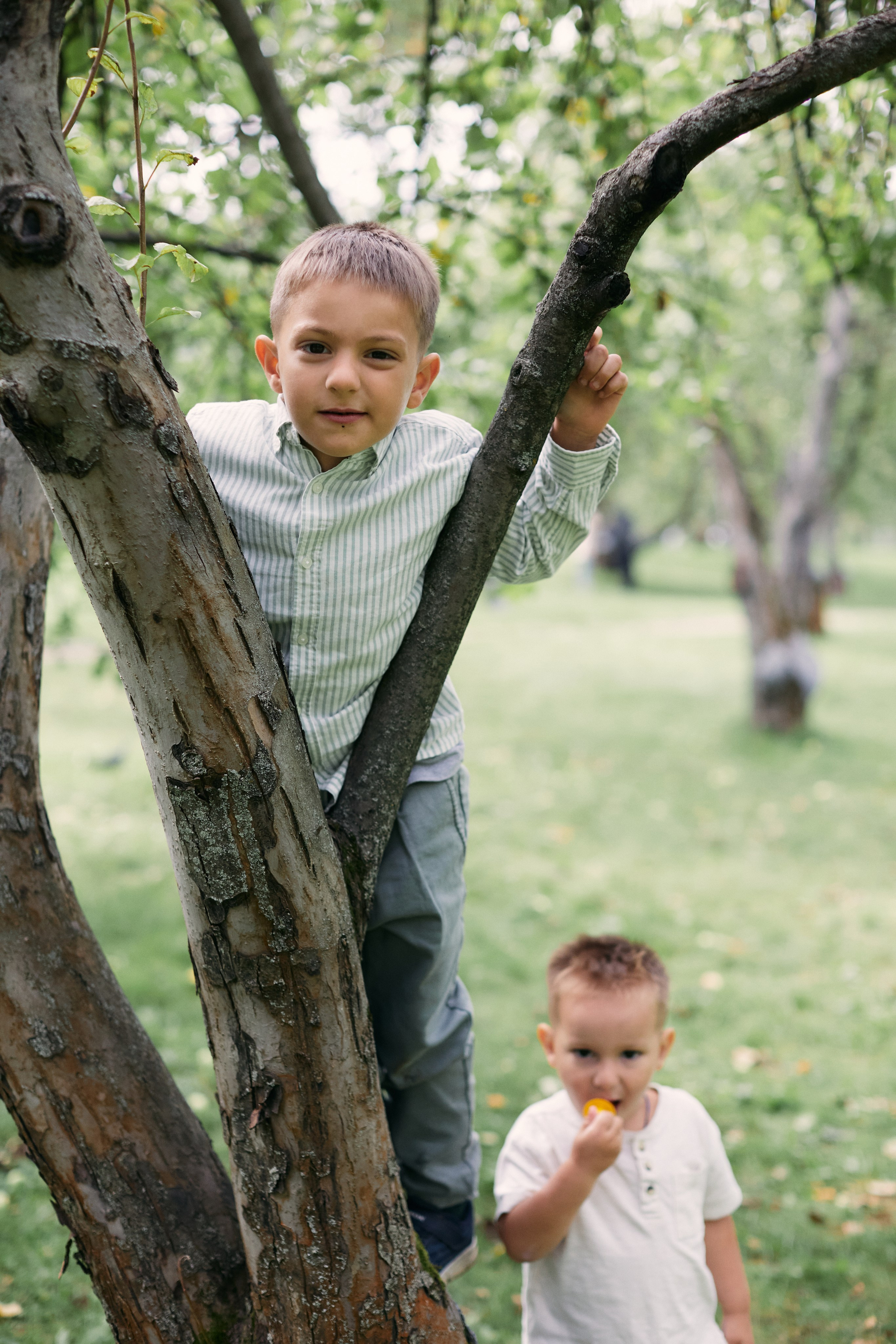 Раушенбахи, Русановы, Мироновы. Фотограф Анастасия Губернаторова