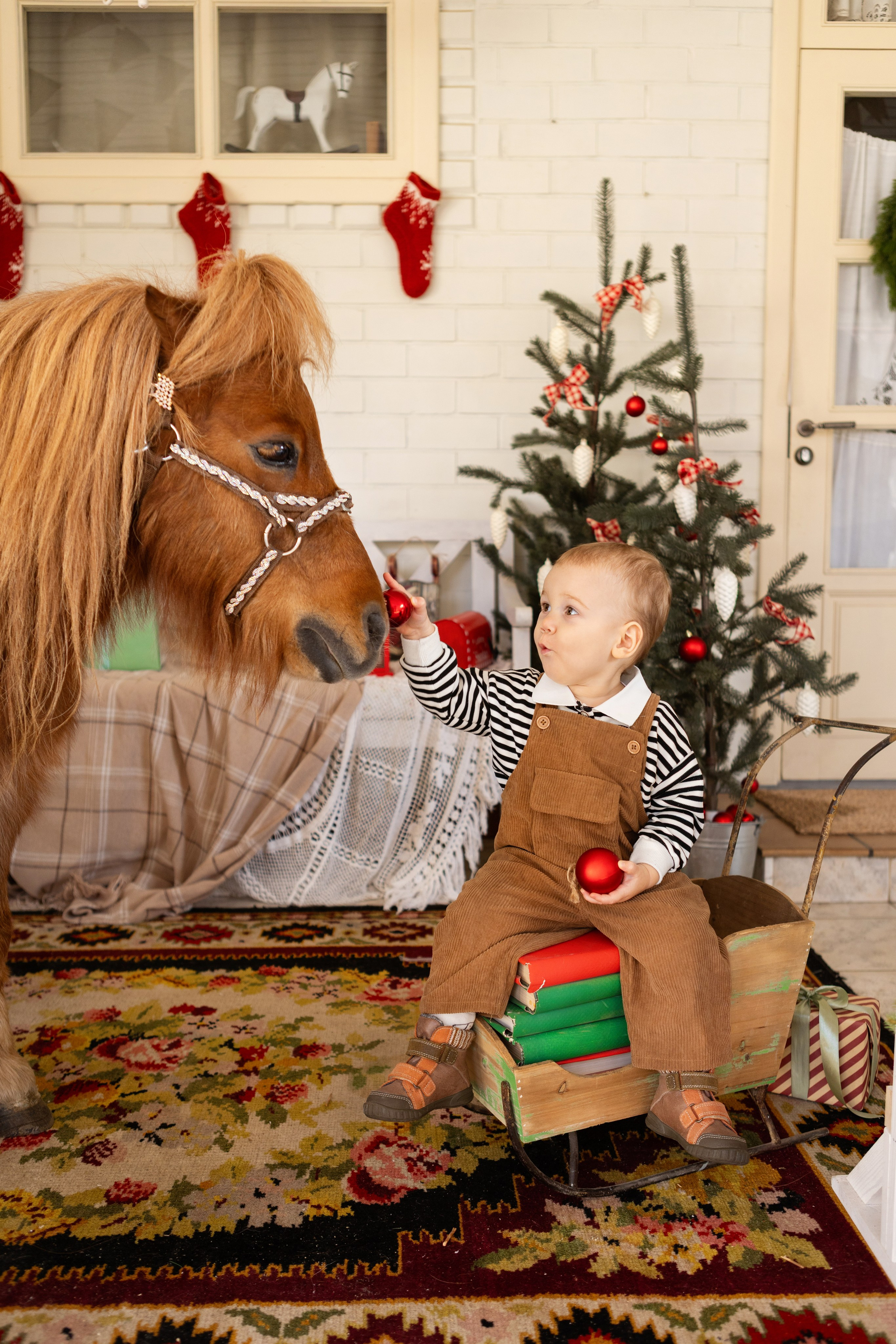 Символ 2026 года «Пони-Бонус». Фотостудия Ольги Сурухановой. Свадебный семейный и детский фотограф в Краснодаре Карина Федоровская