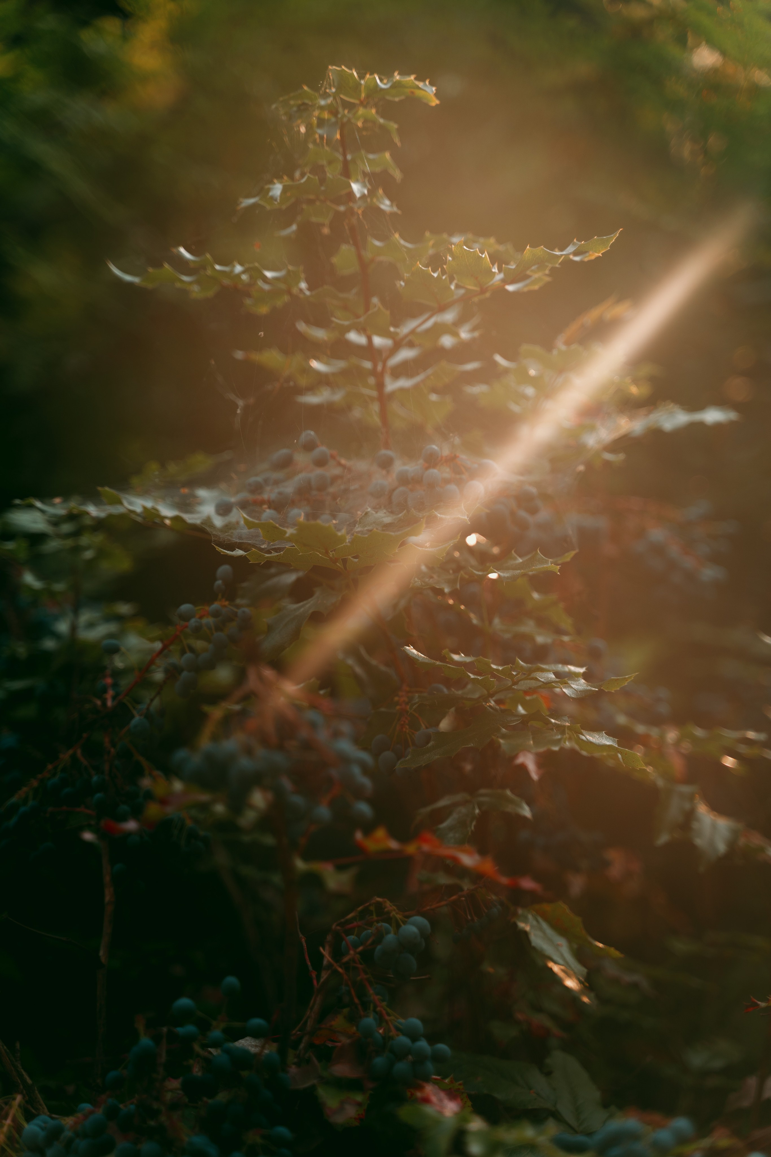 Светлана. Фотограф в Нижнем Новгороде Алексей Уковский