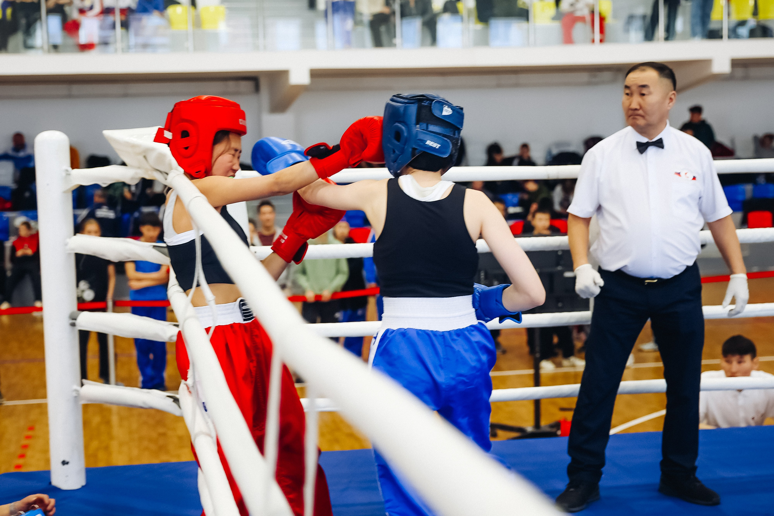 Чемпионат и первенство ДФО по кикбоксингу. Свадебный и семейный фотограф в Улан-Удэ