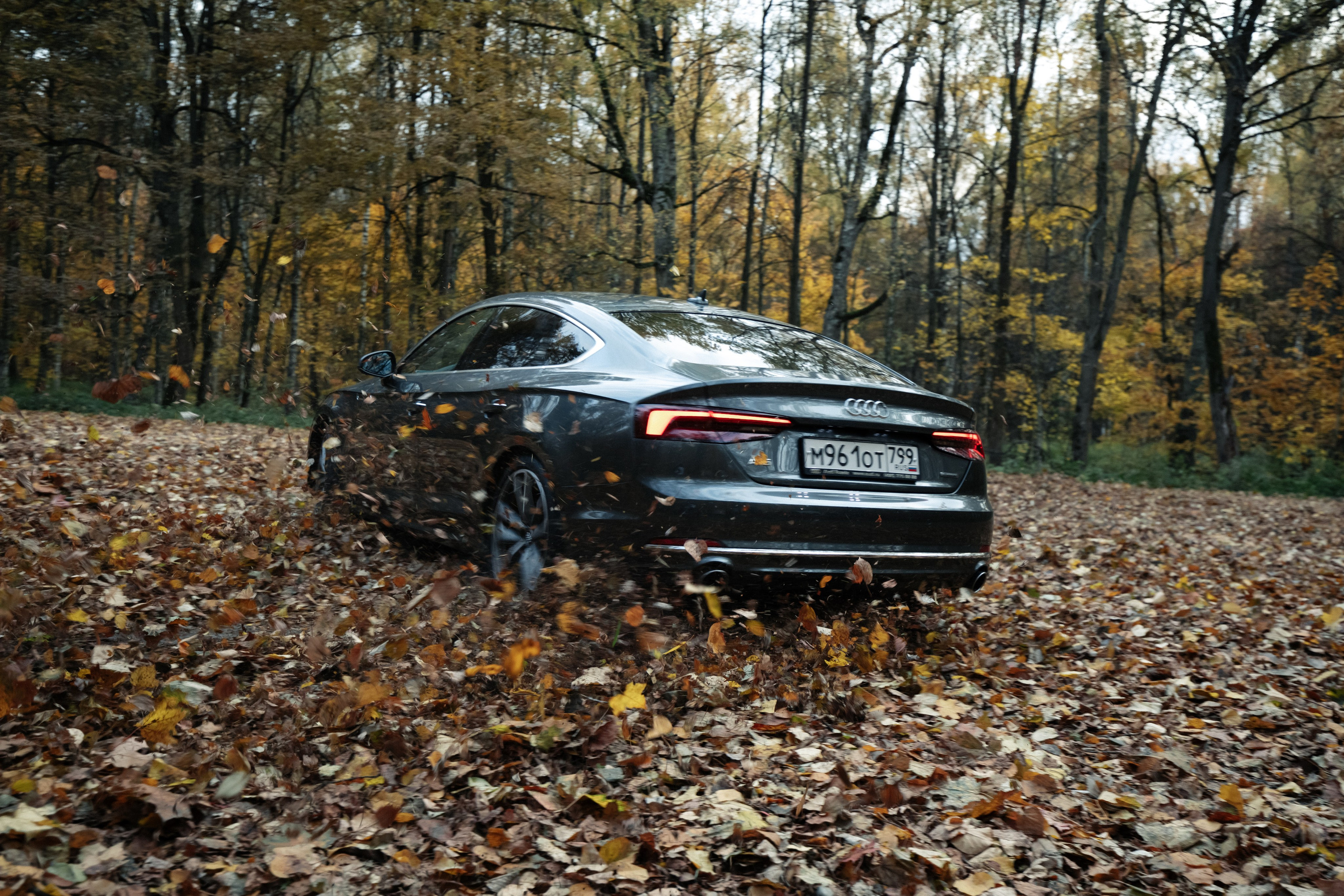 AUDI. Вадим Ветров