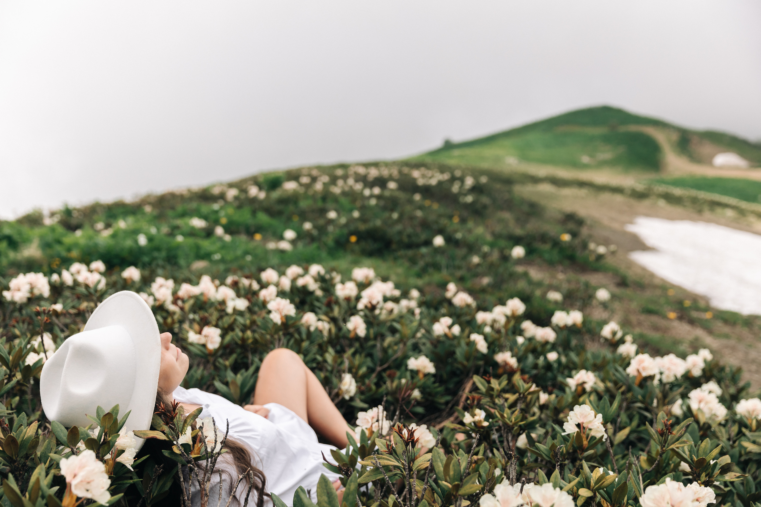 Дарья. Семейный фотограф в Сочи Анна Мальцева