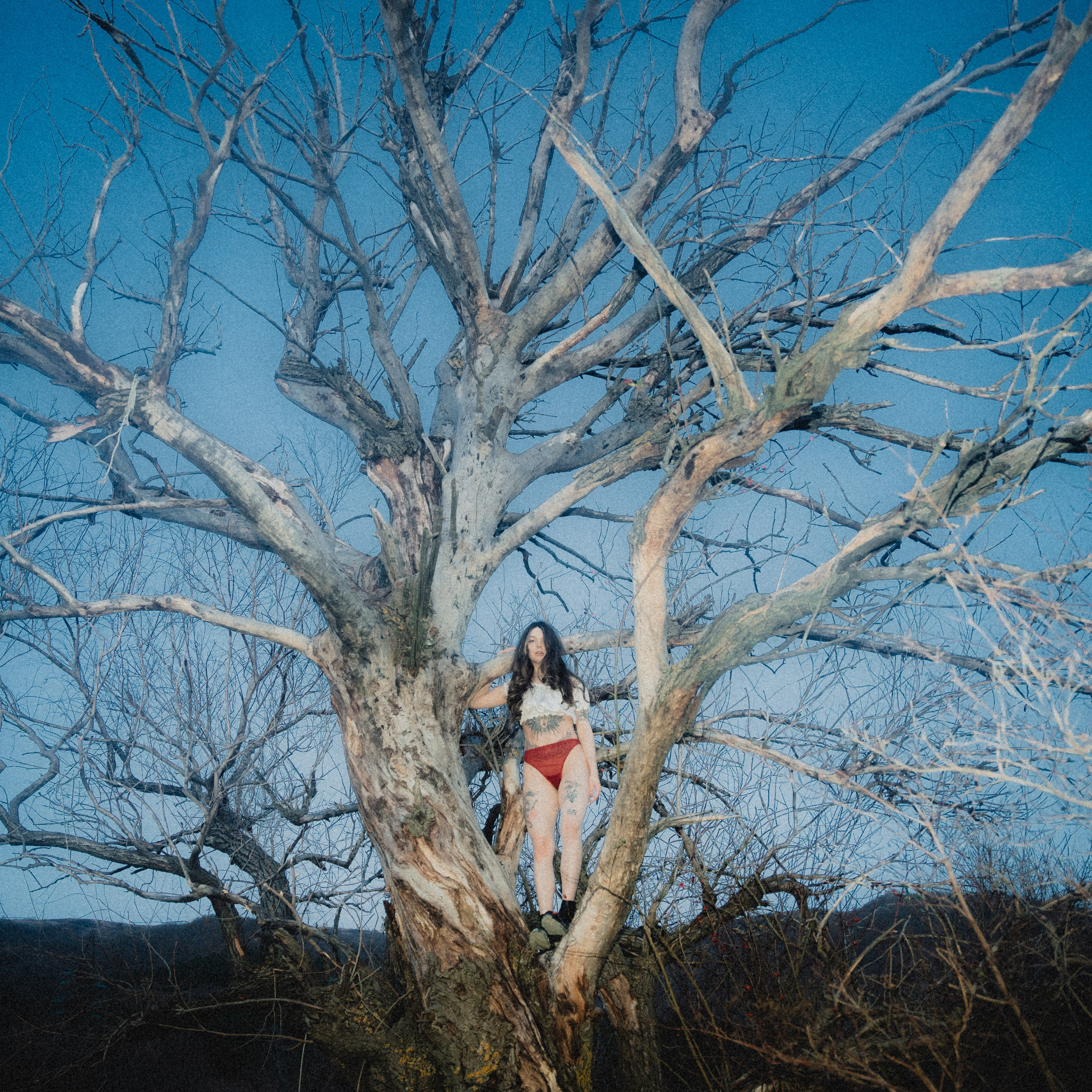 Personality. VISUAL ARTIST · KRONGAUZ ANASTASIA