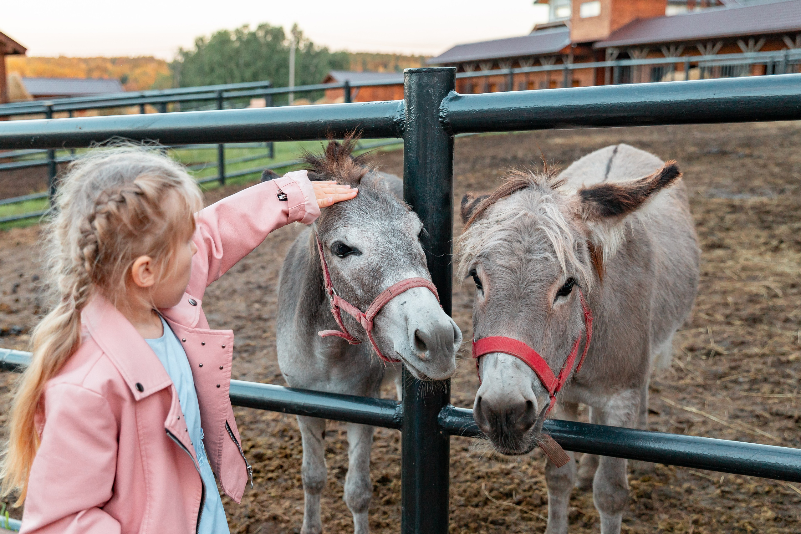 Семейная прогулка на ранчо. Детский и семейный фотограф в Красноярске Юлия Бирюкова