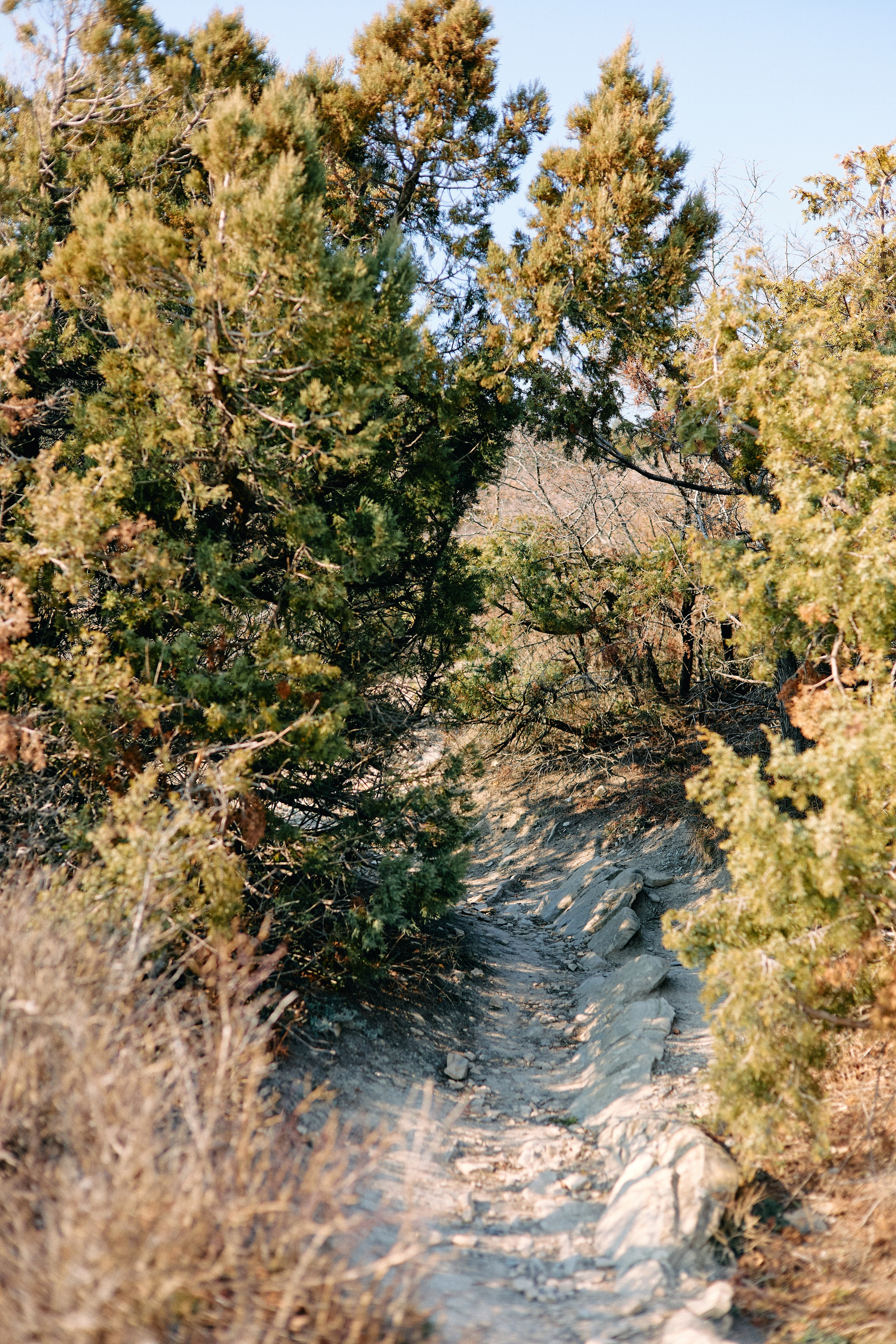 Юг России. Профессиональный Фотограф во Владимире, в Москве и в Суздале — Полина Романычева