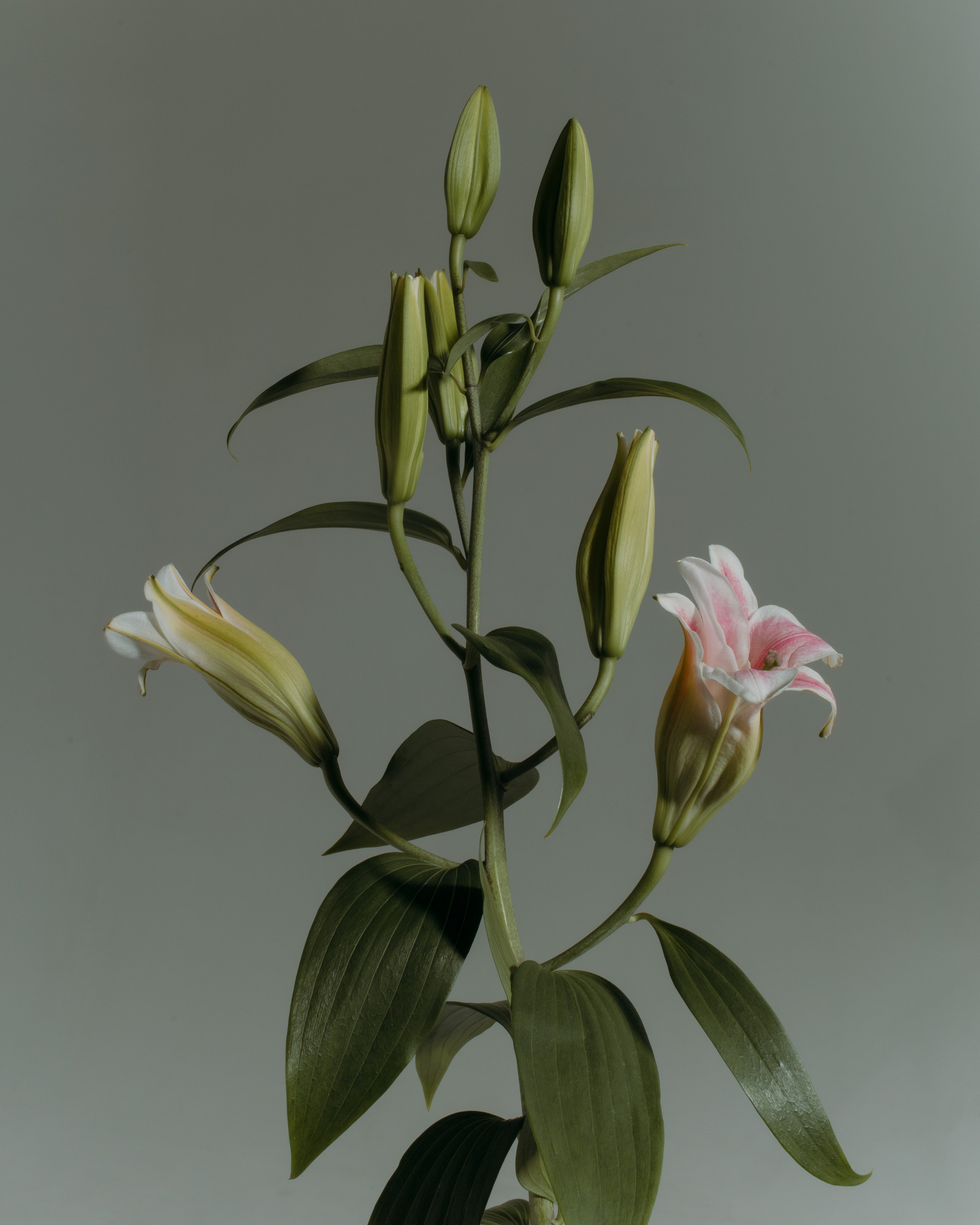 Саша. Катерина Аникеева | Фотограф | Екатеринбург