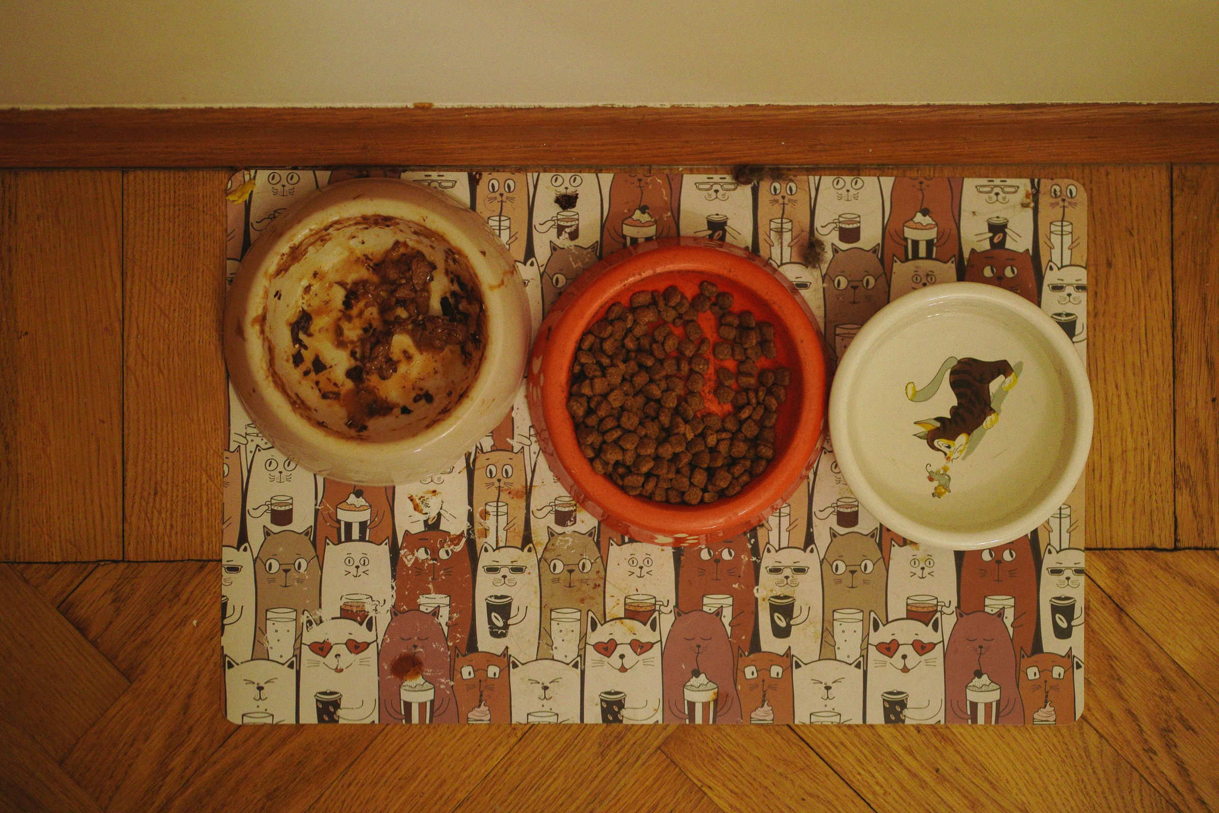 Даже спустя столько лет? Всегда…. Свадебный и семейный фотограф в Абакане Василевский Алексей