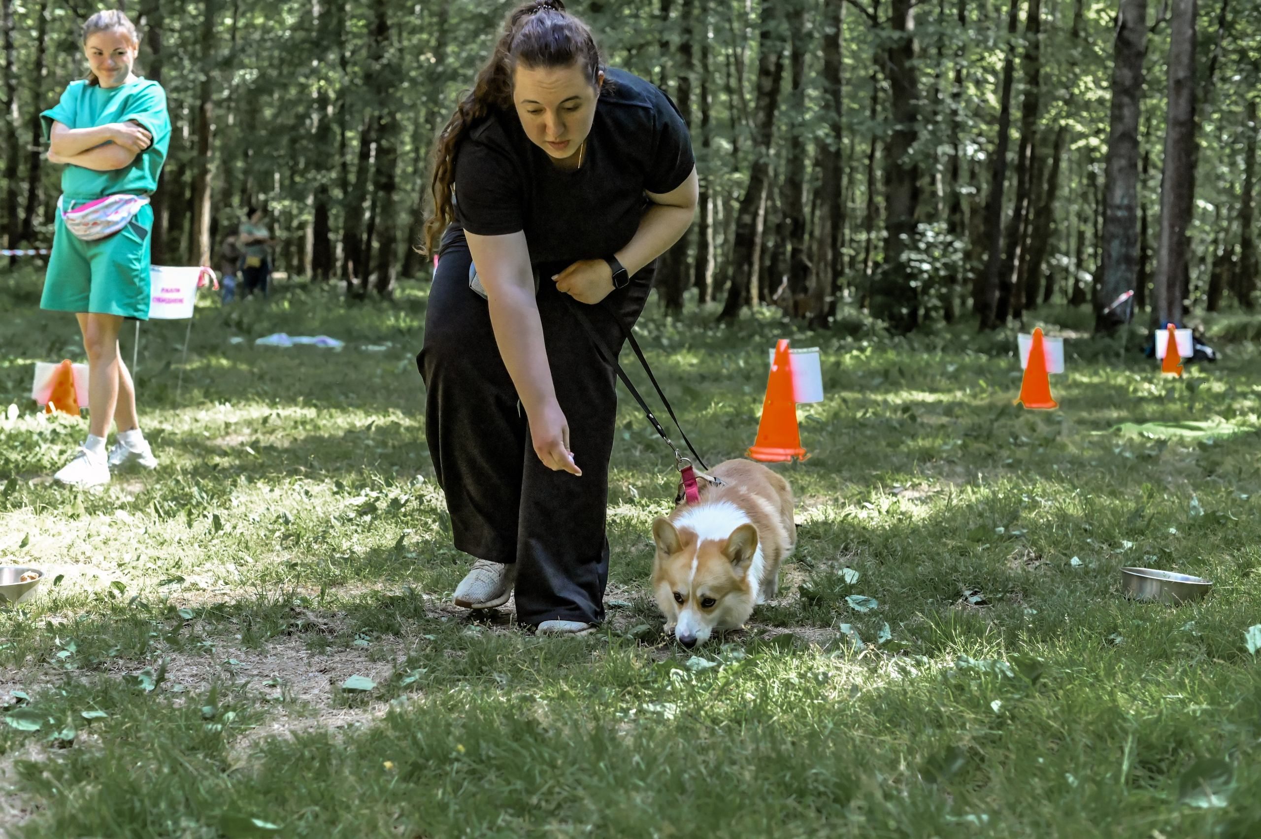 Кинологические соревнования. Семейный и репортажный фотограф в Москве Анастасия Трубкина