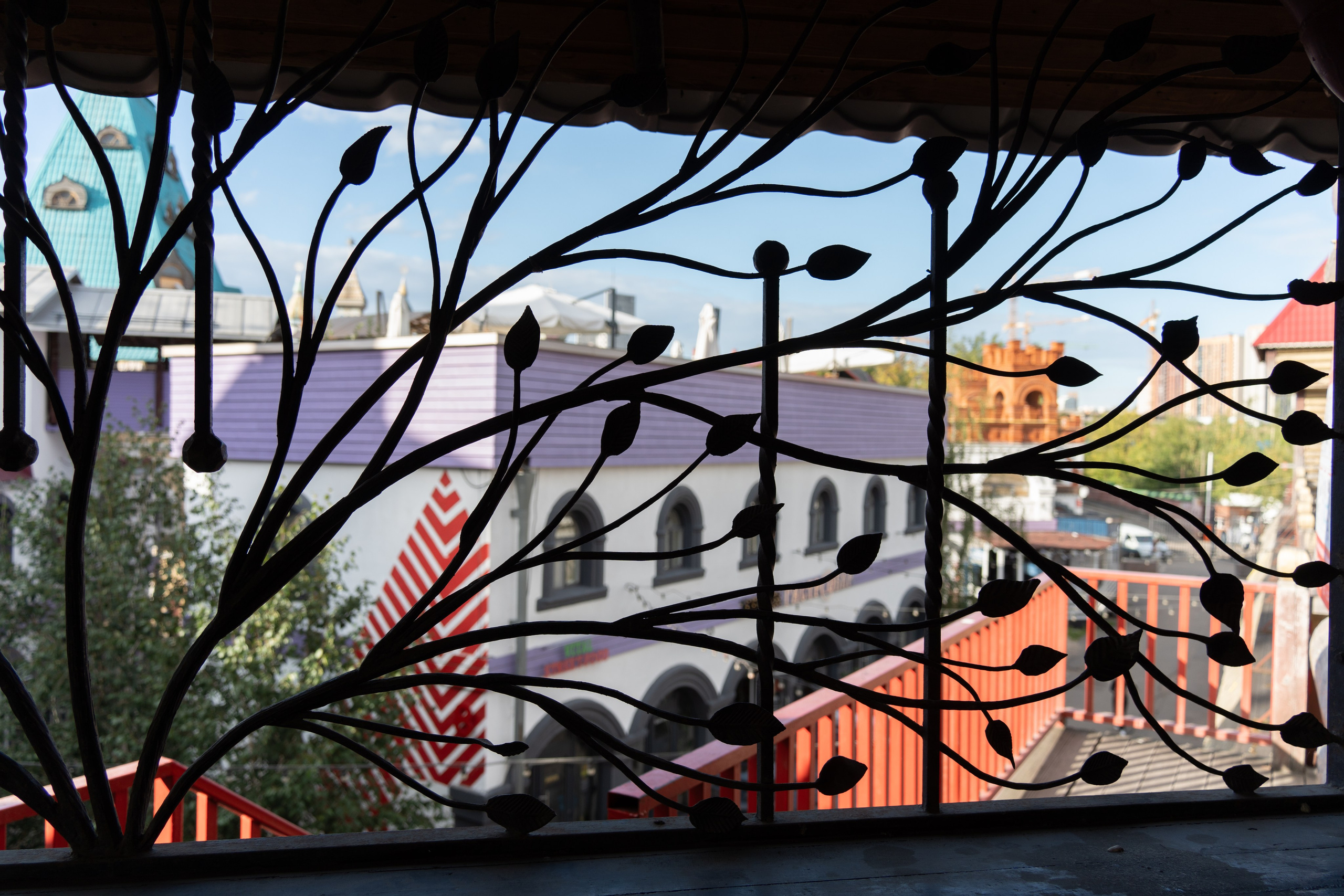 20250817 Измайлово. Дмитрий Ремизов. Фотография, как хобби