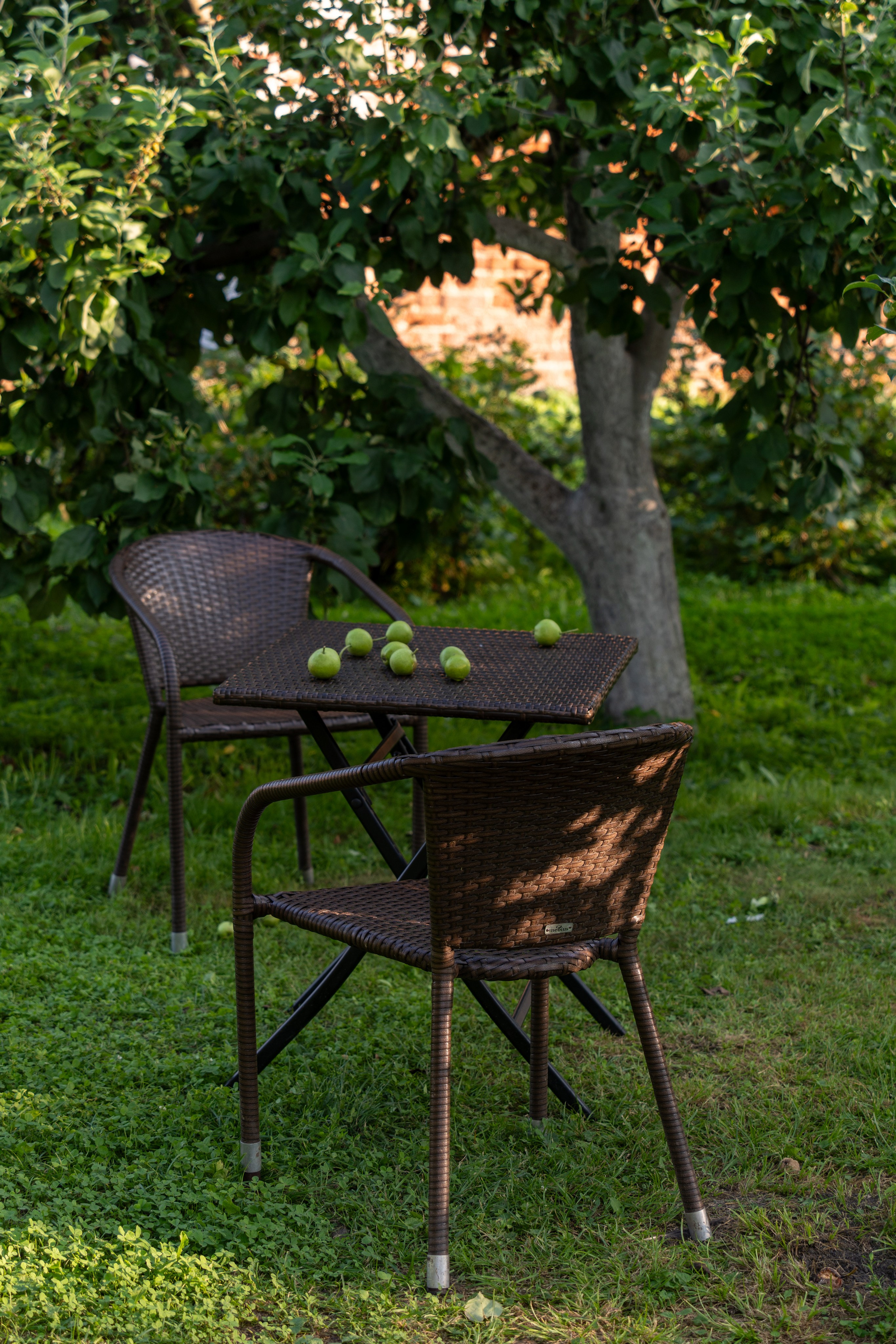 20250729-30 Ростов. Дмитрий Ремизов. Фотография, как хобби