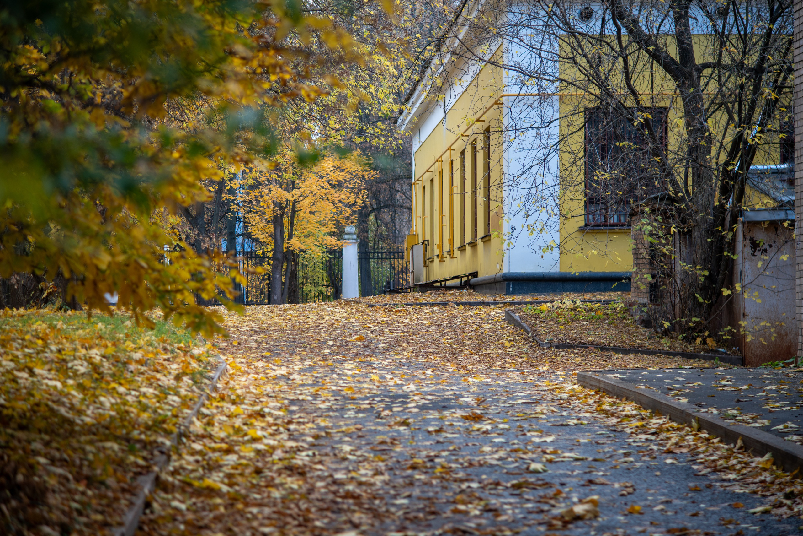 20251012 МГУ. Дмитрий Ремизов. Фотография, как хобби