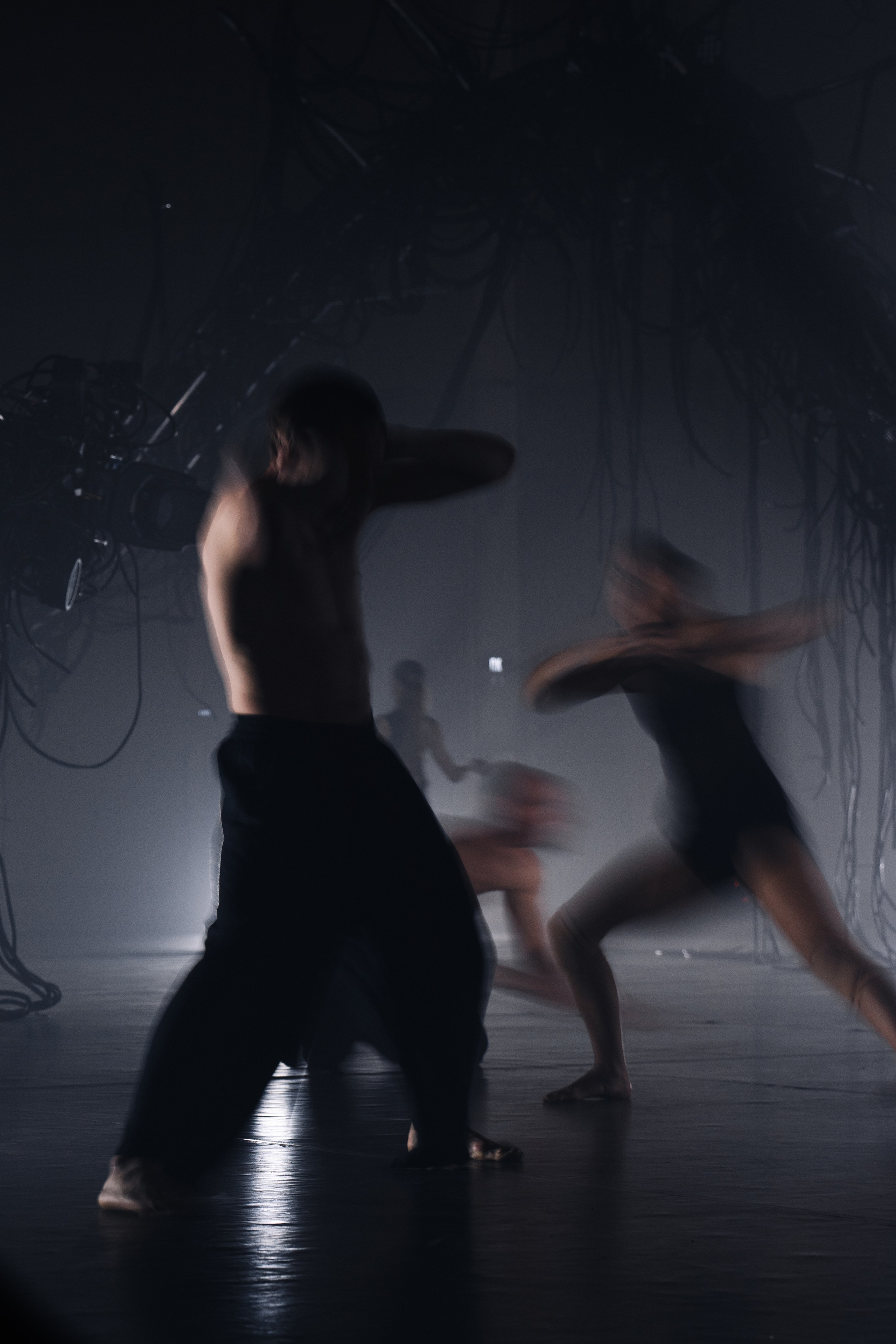 PERFORMA, The Hour of the Horse. @tomrus: Рустам Шагиморданов — фотограф