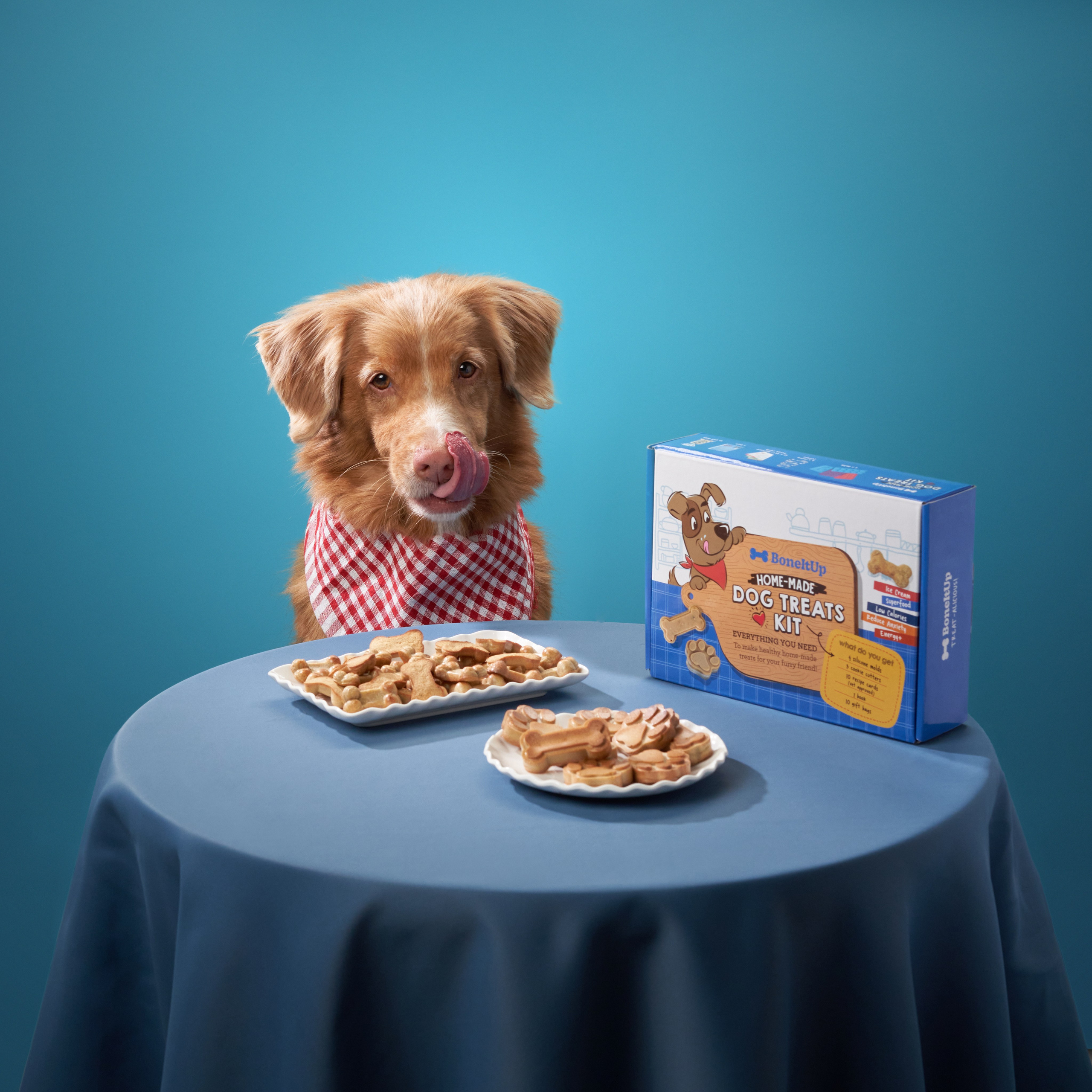 Advertising shooting with animals. Pets in advertising. Dog photographer Averianova Anna — Art photography of dogs