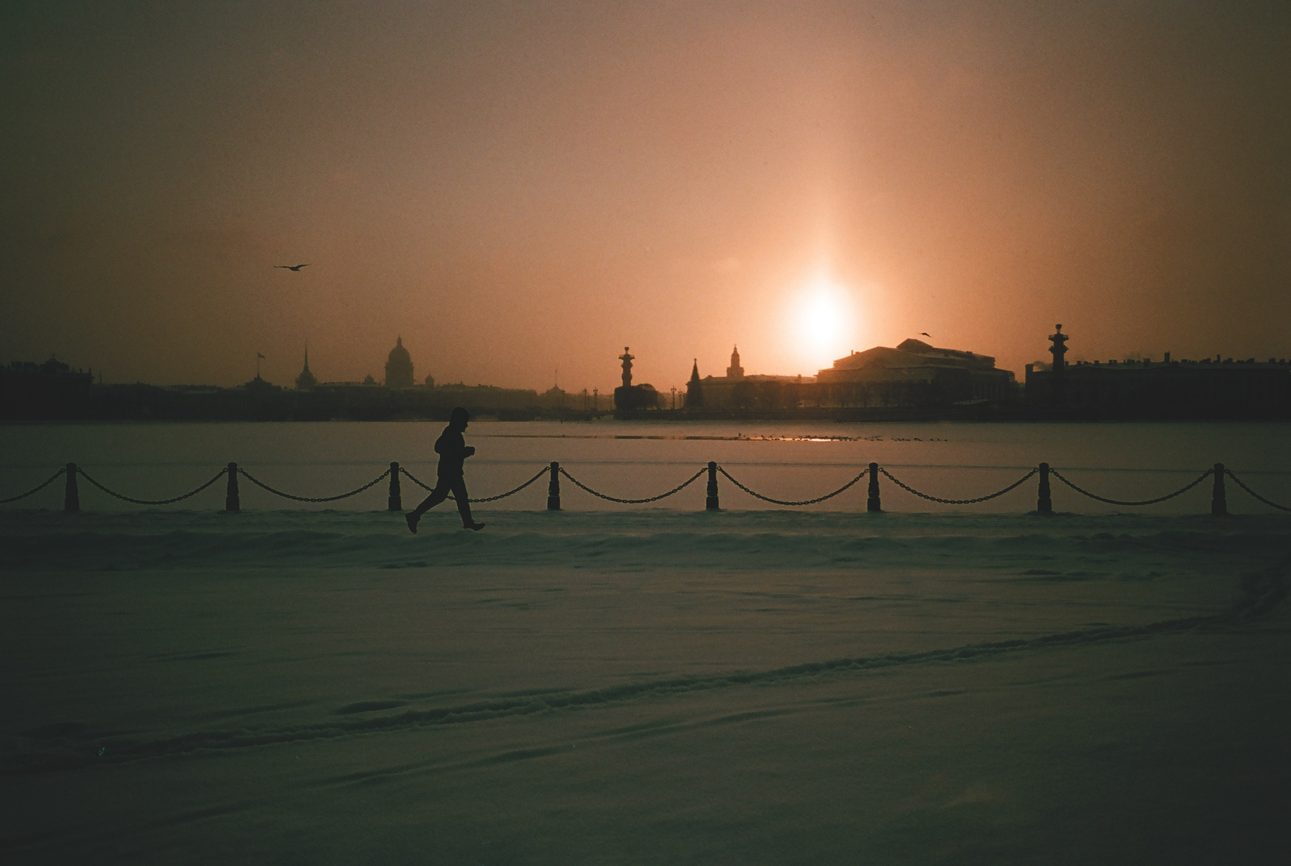 Фотографии цветные. Свадебный и семейный пленочный фотограф в Петербурге Истомина Ирина