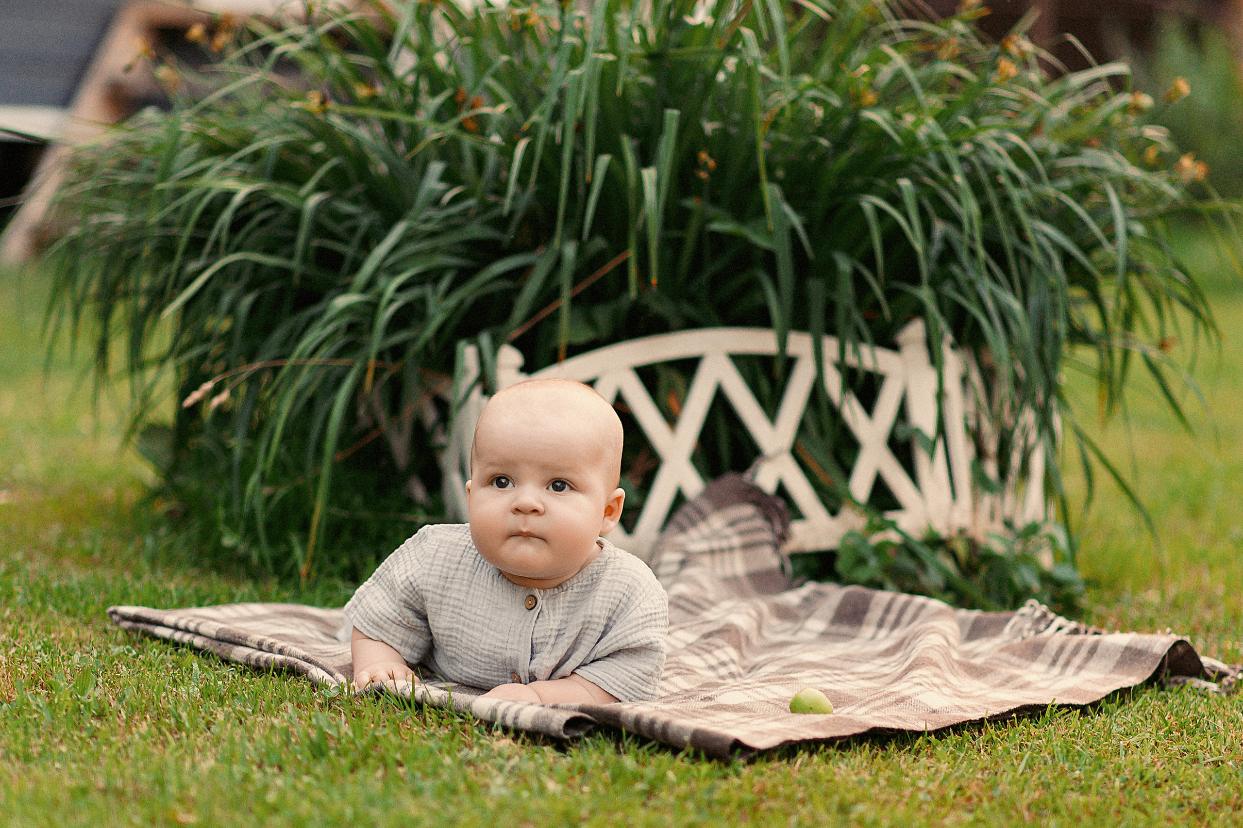 ОЛЯ, ИЛЬЯ и ВАНЕЧКА. Свадебный и семейный фотограф РИТА БОЧКАРЁВА