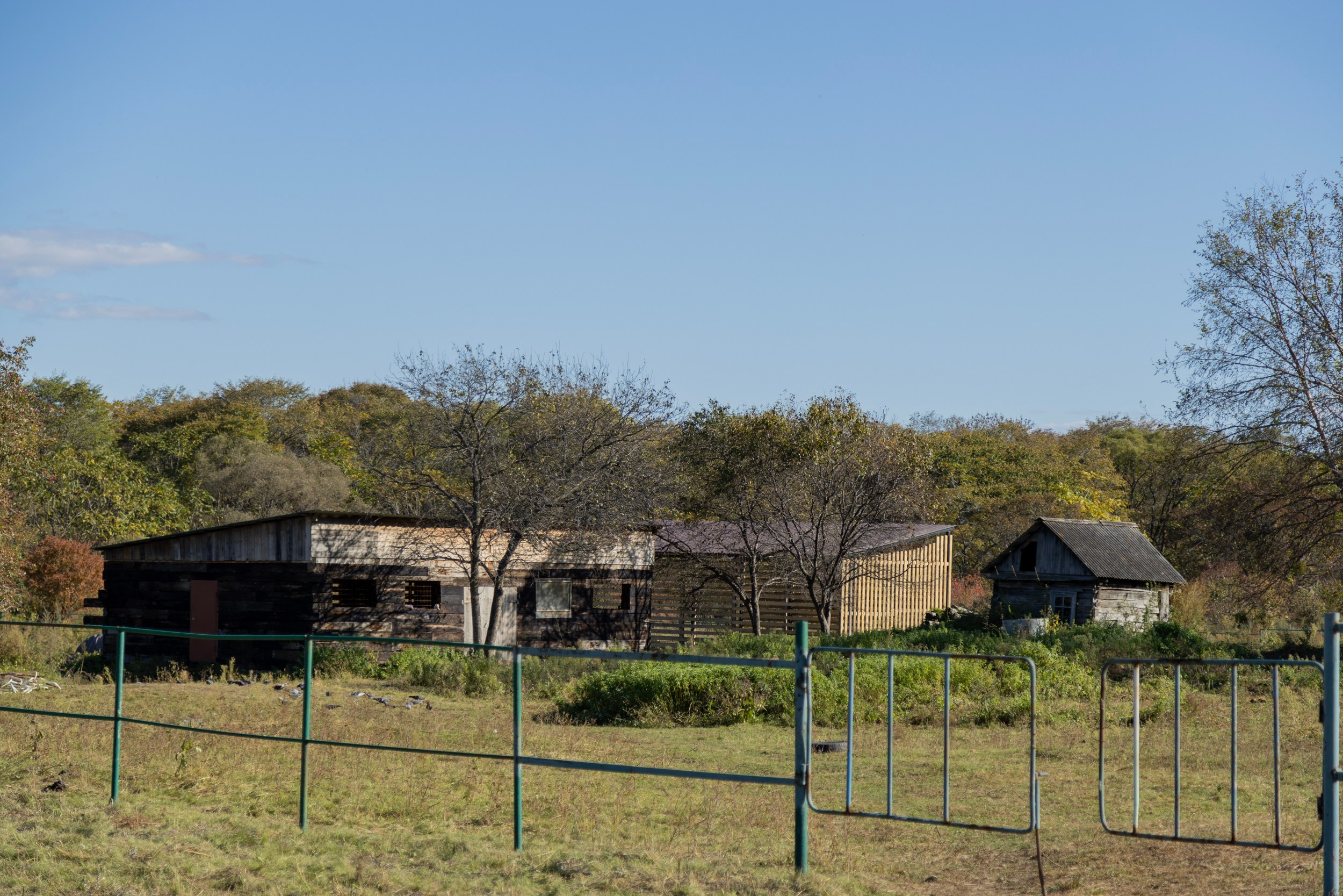 Фестиваль «Большой пикник», репортаж для ASAP Speedcubing. Репортажный и портретный фотограф в Владивостоке