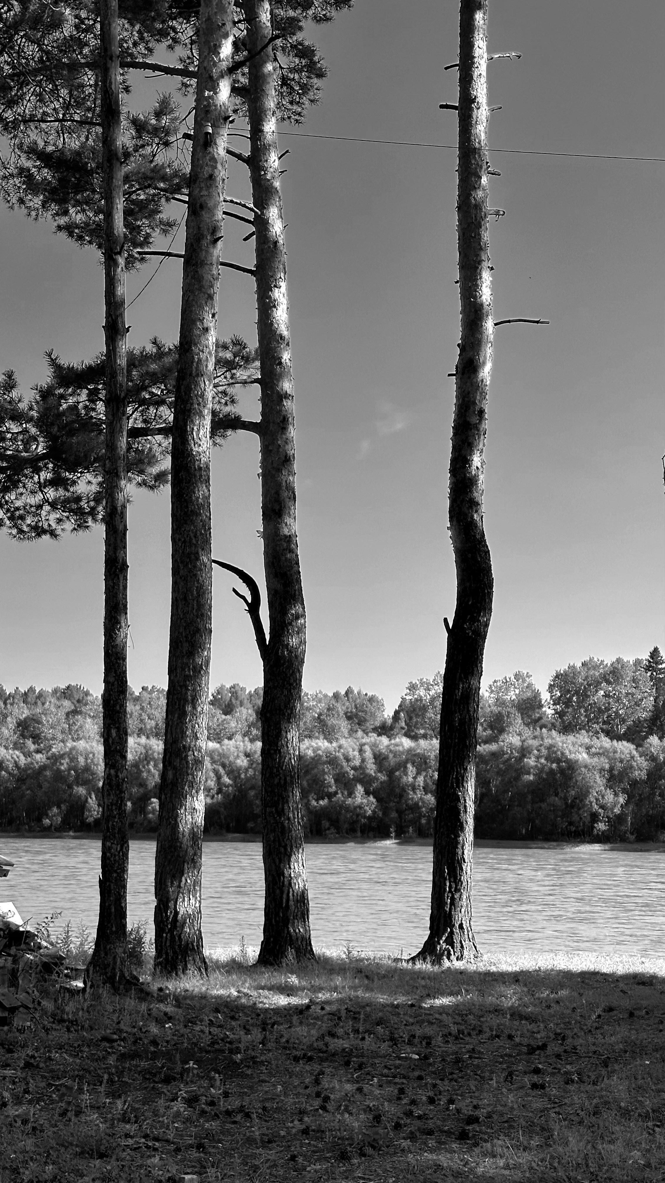 2024. Тащилин Сергей. Фотографии. Жизнь. Хобби