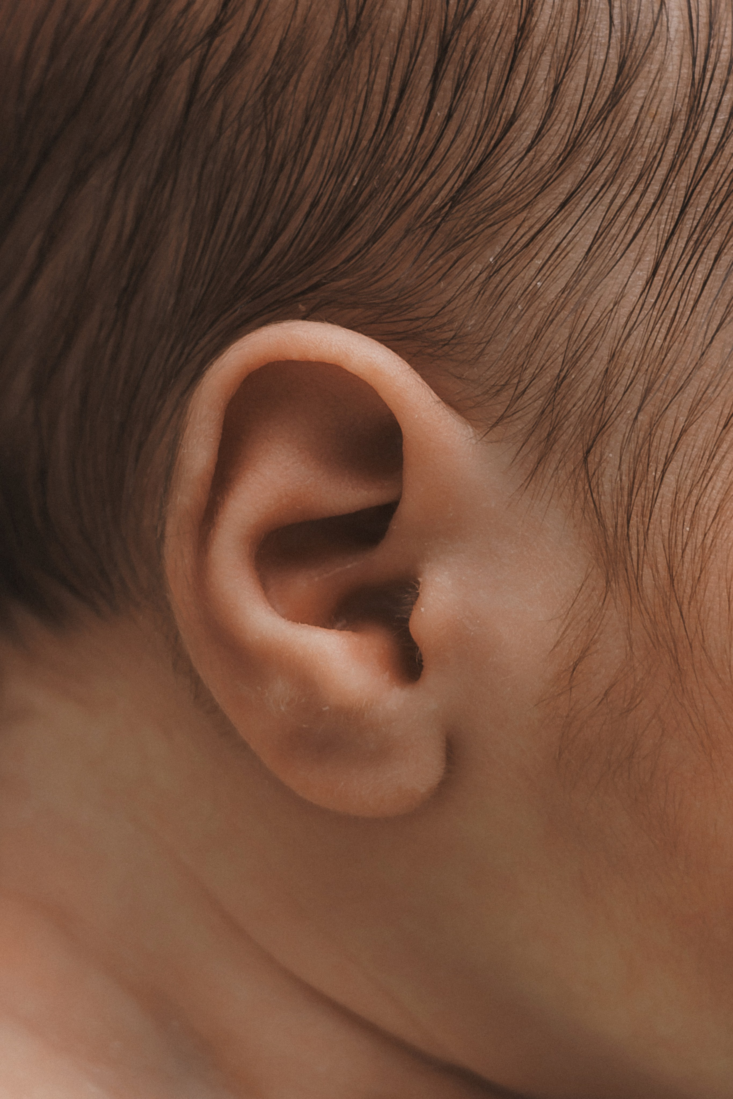 Леон, пакет «Комфорт», 9 дней. Фотограф новорождённых Екатерина Боброва. Ульяновск