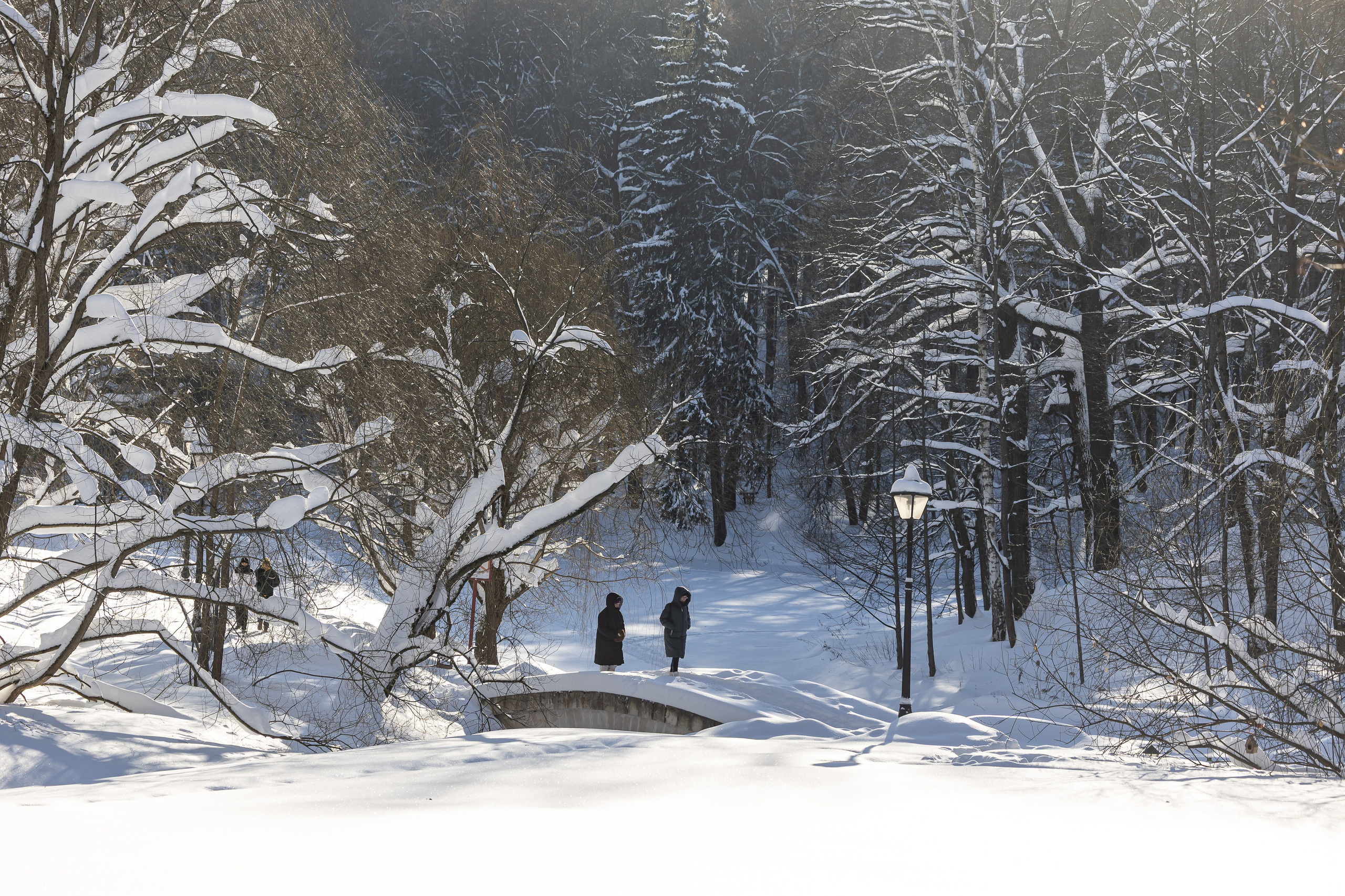 Природа. Фотограф Владимир Охрименко