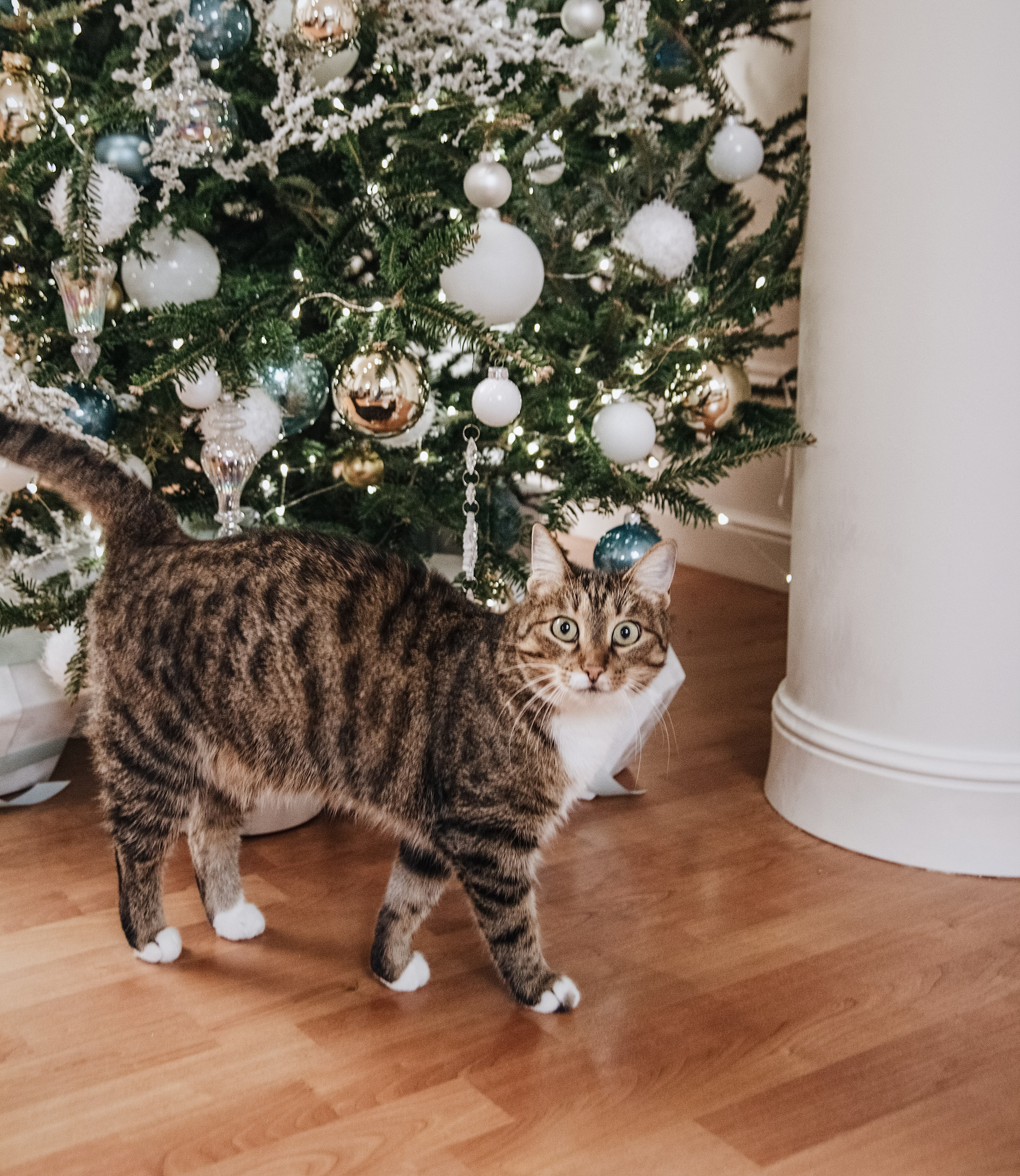 Загородный дом 2023. Ксения Почтарь. Декоратор и флорист, город Владивосток