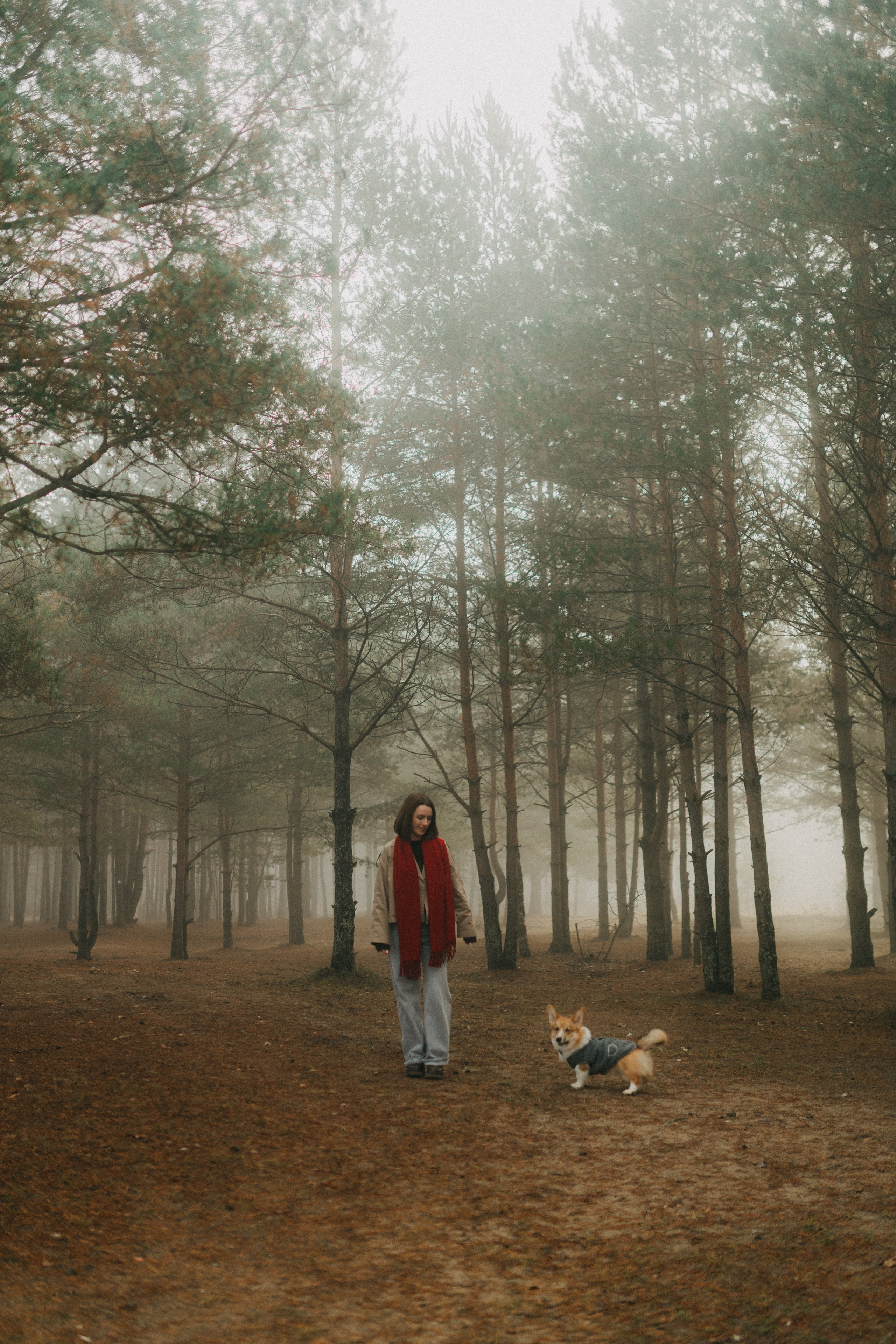 Алина. Фотограф НОГИНСК, Москва, Анастасия Белая