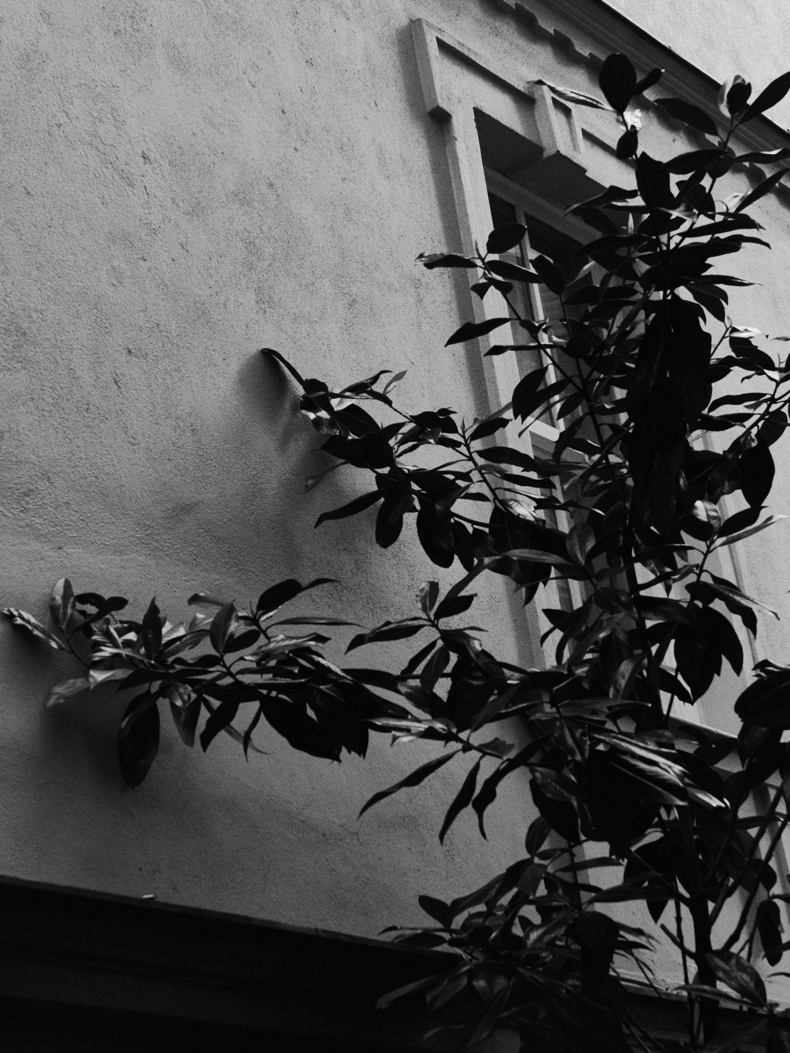 B&W. Jorgis — фотограф в Хургаде / обучение фотографии