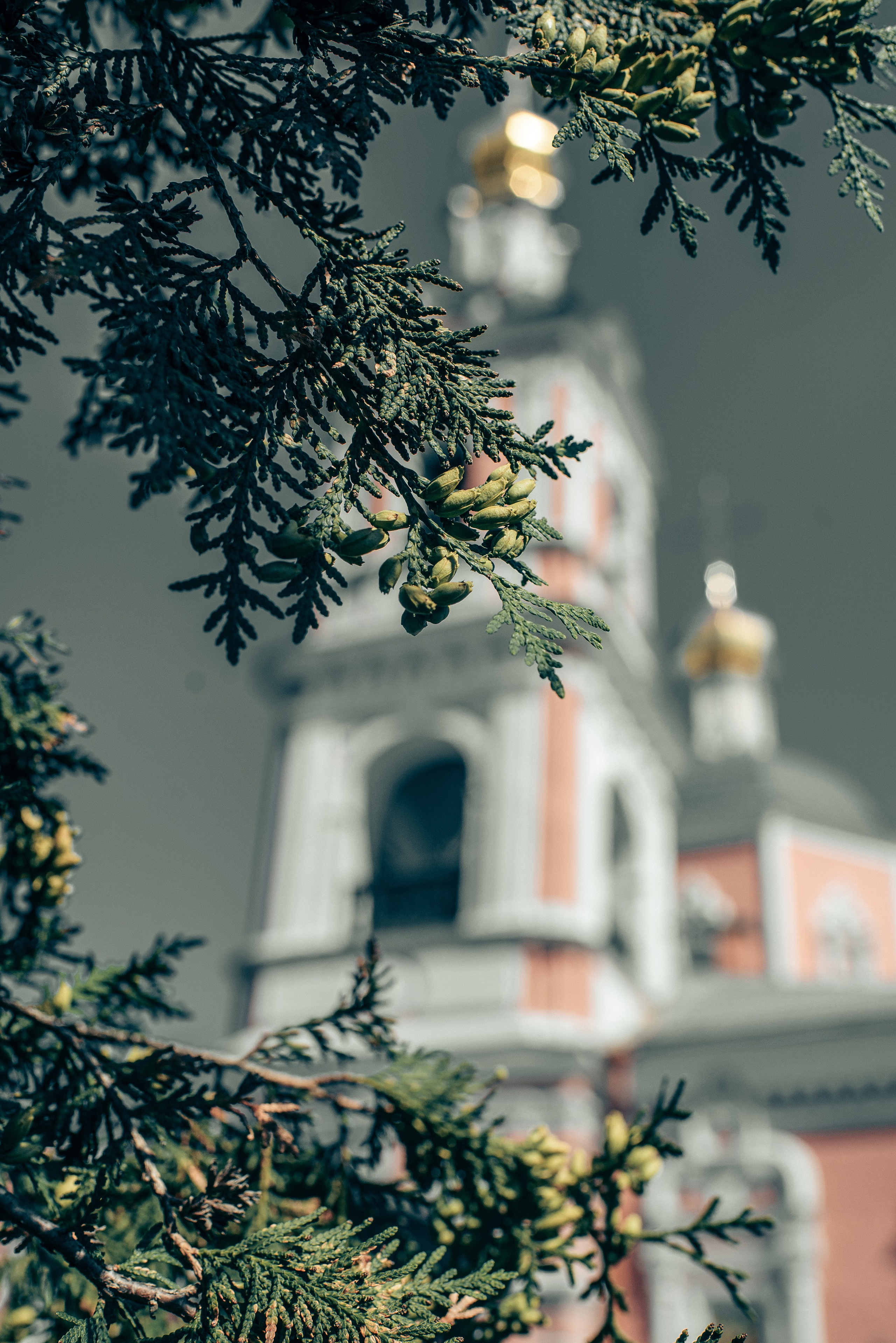 Крещение Софии. Фотограф на выписку из роддома в Москве и МО