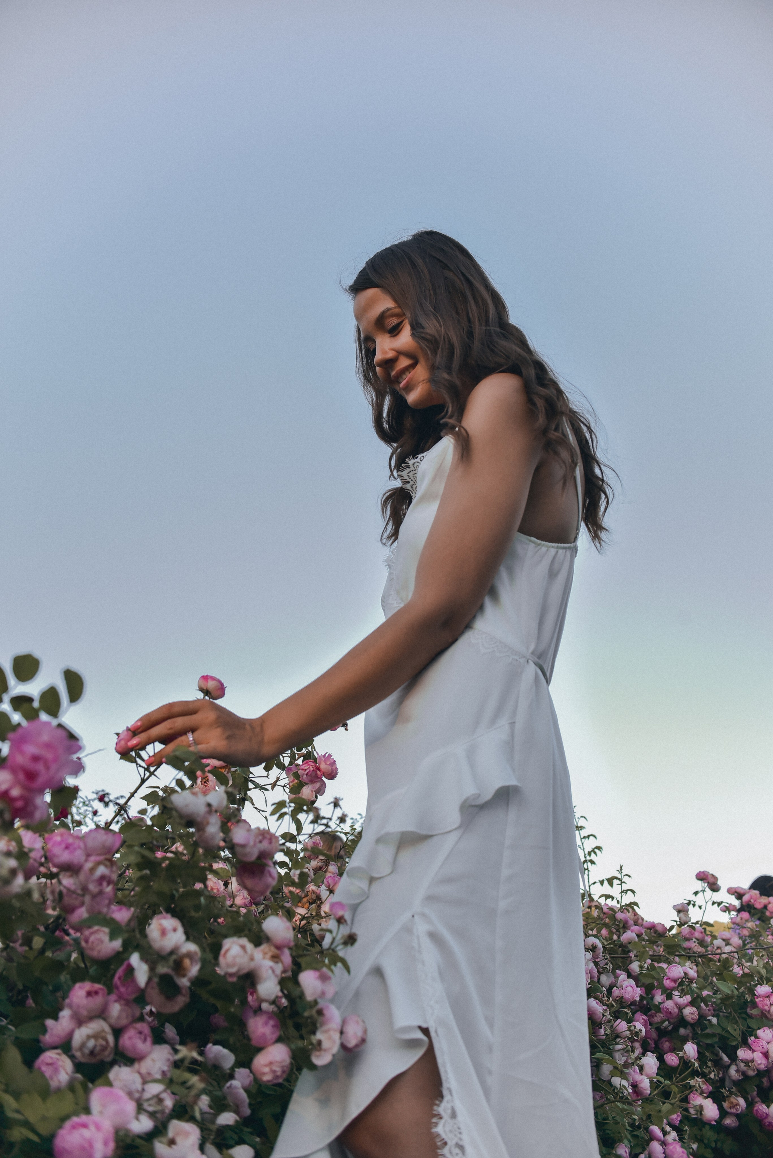 Розовая роща. Семейный фотограф Milena feel it