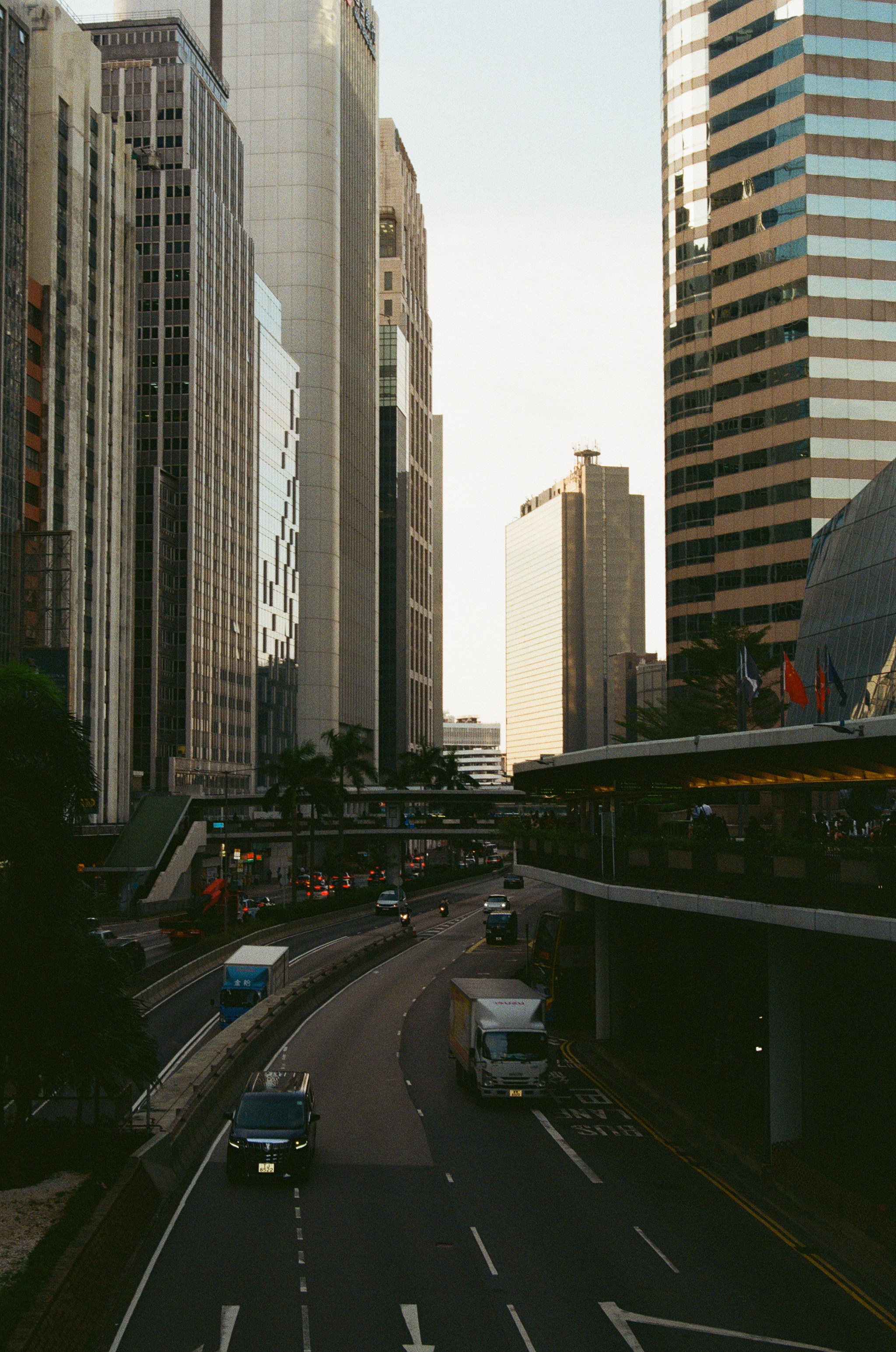 Гон Конг 2024. Репортажный и портретный фотограф Русакова Жанна