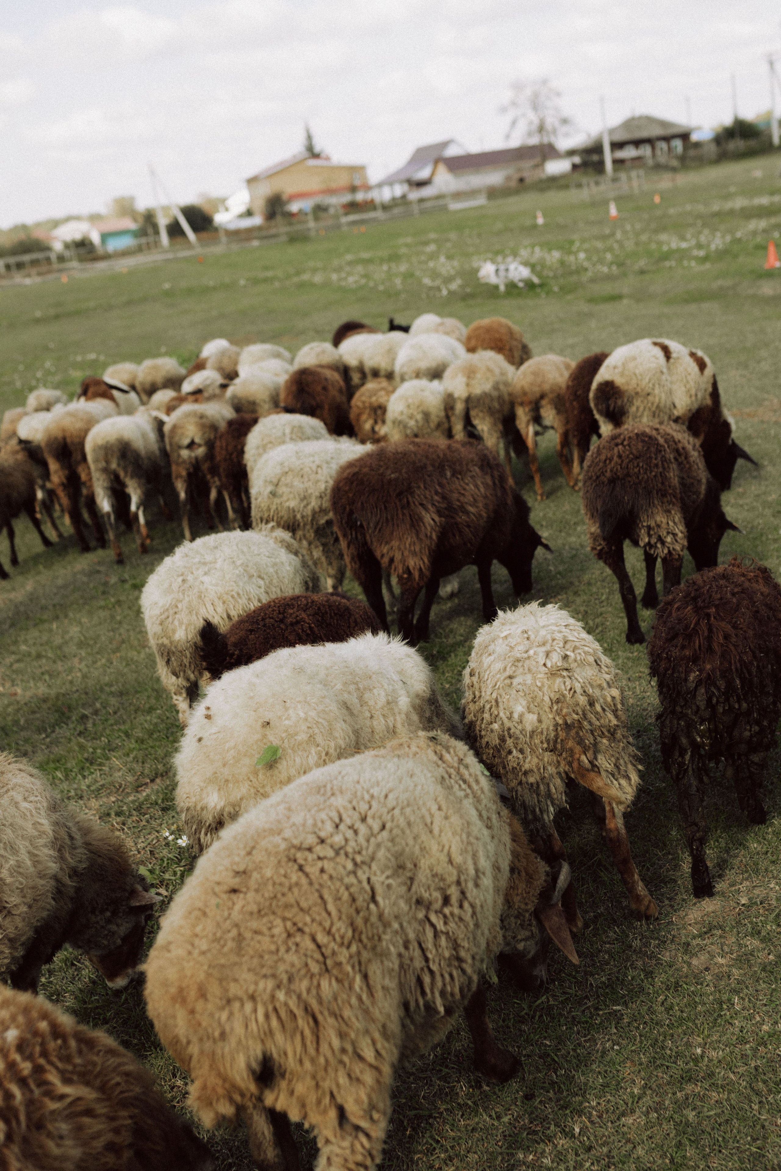 Ксения. Фотограф Стилист Тюмень Вера Хайруллина