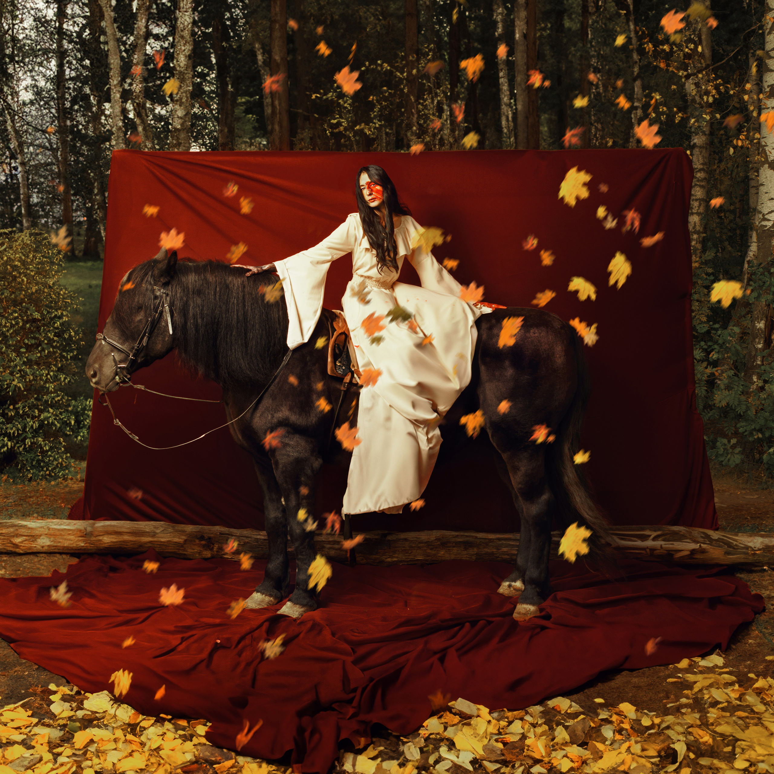 Portfolio NEW. ART PHOTOGRAPHER KIRILL SAKRUKIN