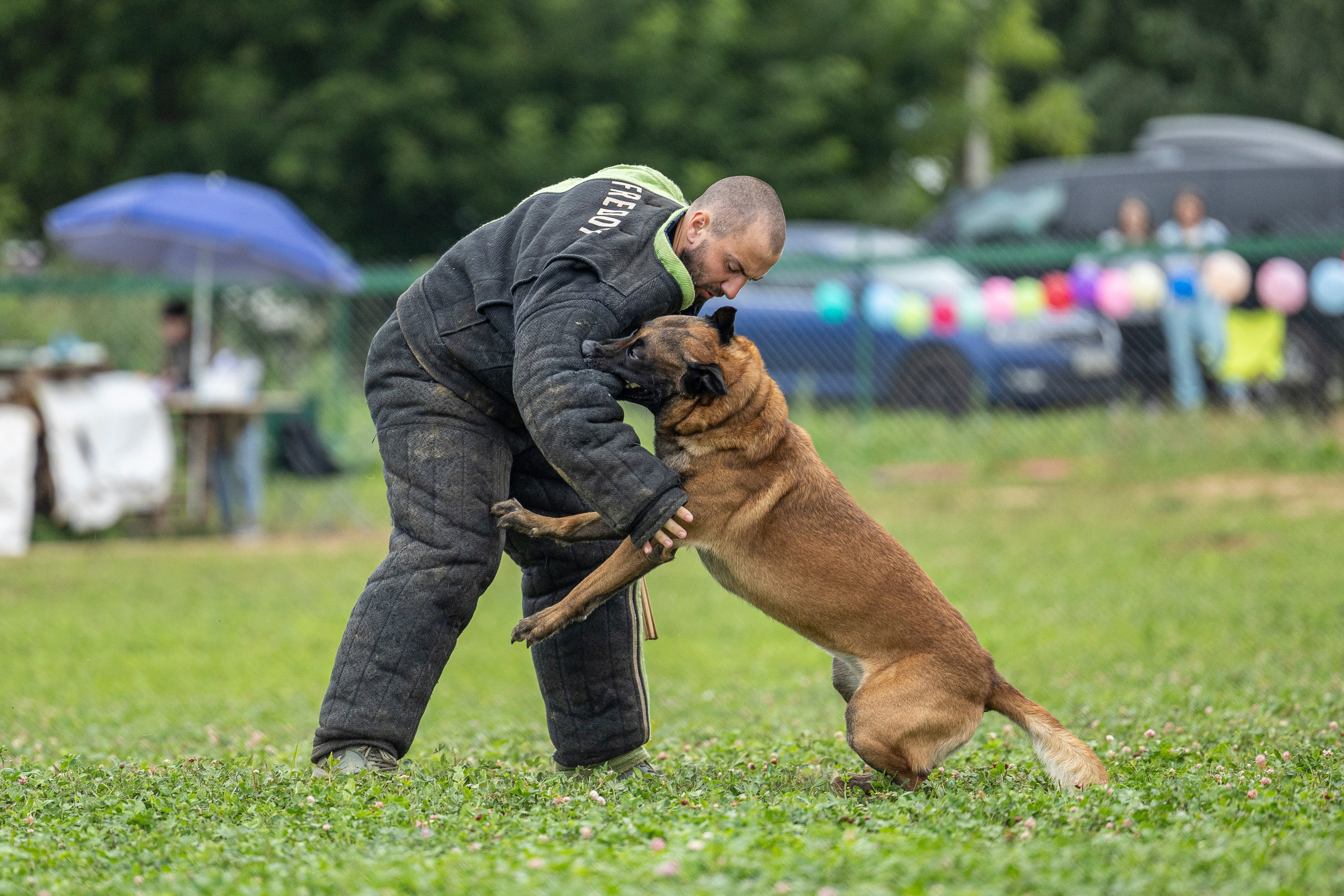 Соревнования по Мондьорингу г. Вологда 10-11.08.2024. Фотограф-анималист Анна Маринич