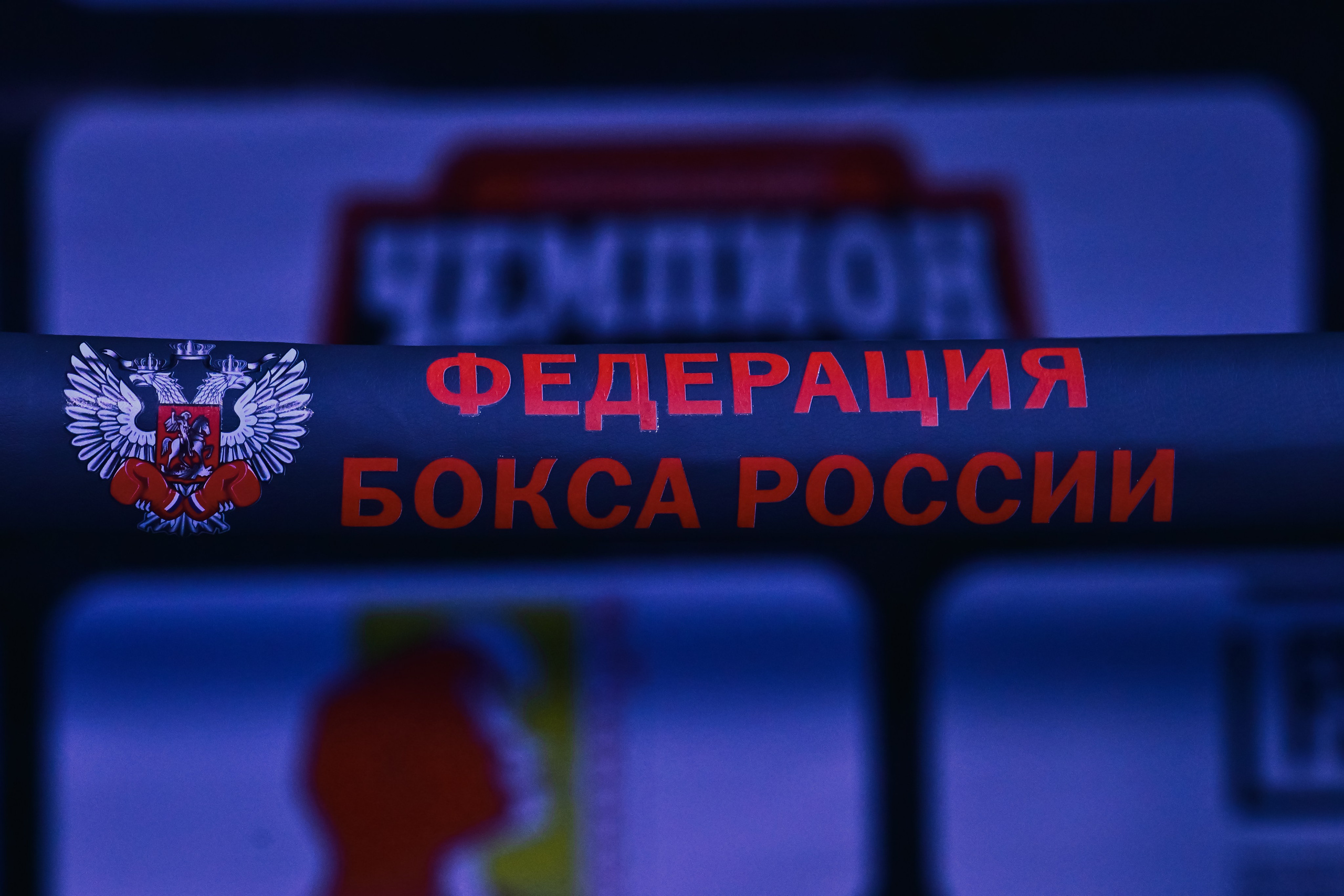 XIV Всероссийские соревнования по боксу имени ЗМС России А.Тищенко. Репортажный фотограф Юля Решетняк