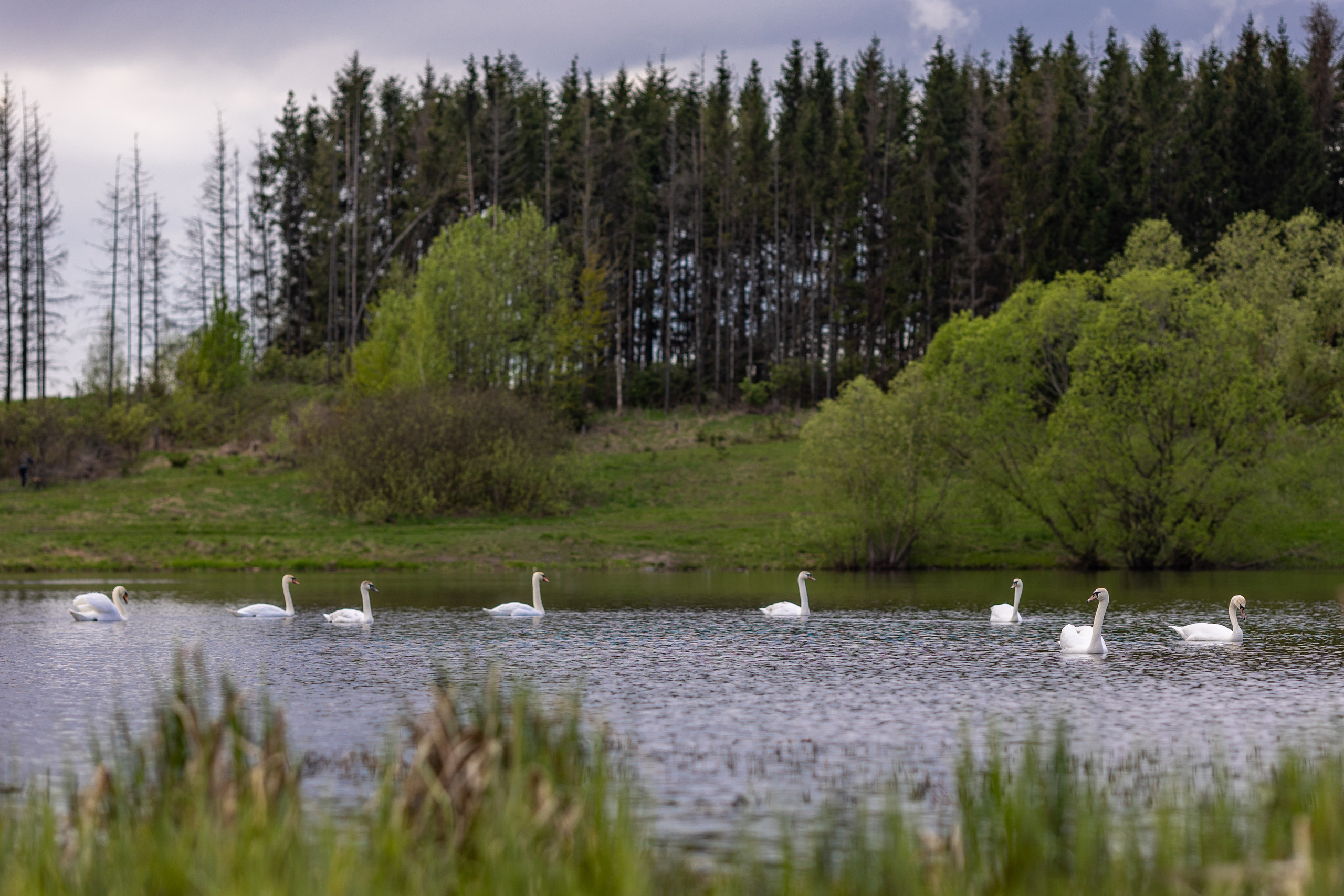 Страшевичи (35 км). Семейный и детский фотограф |Брянск| Анастасия Перепелкина