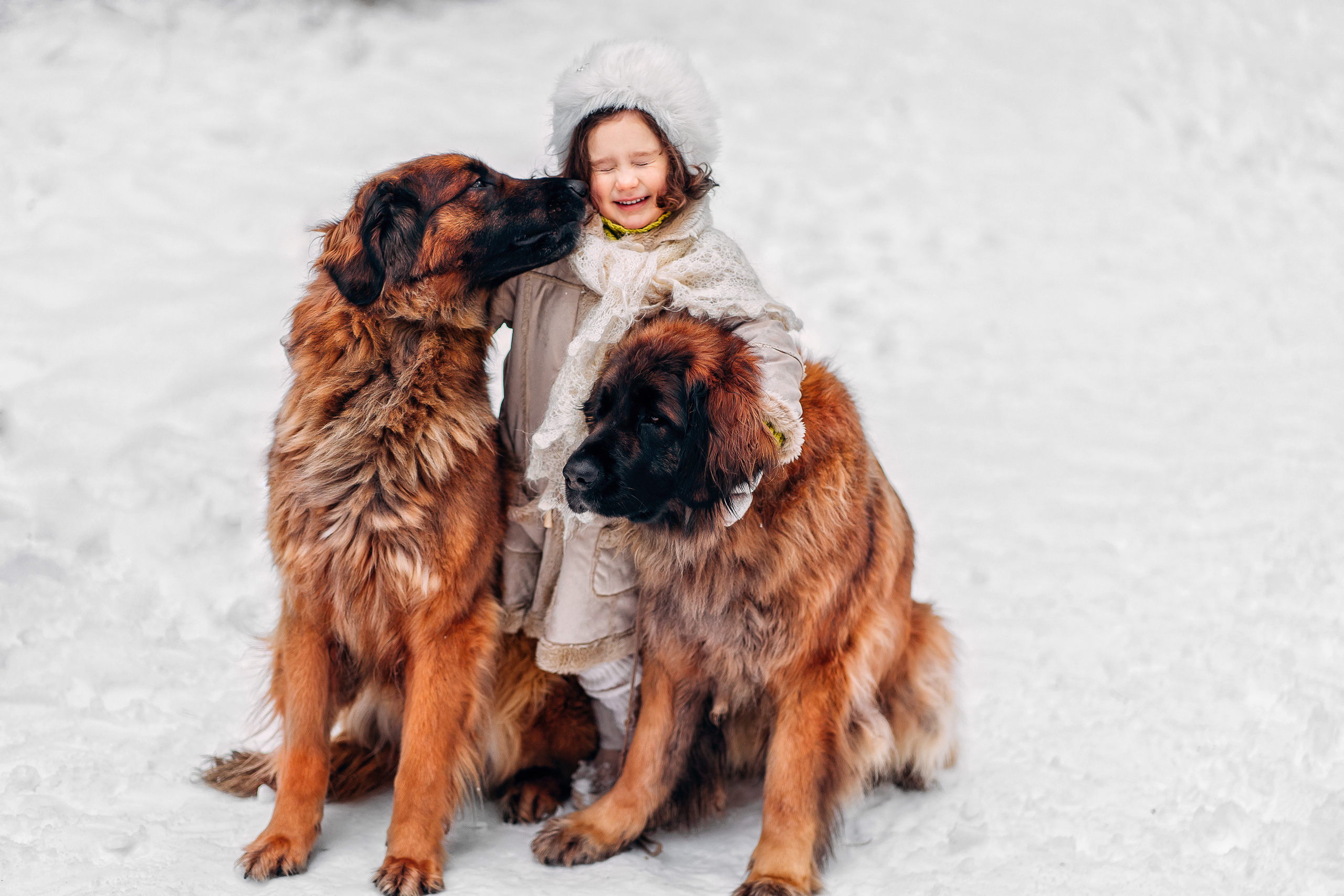 Лесная прогулка. Наталья Градова. Семейный и детский фотограф в Нижнем Новгороде